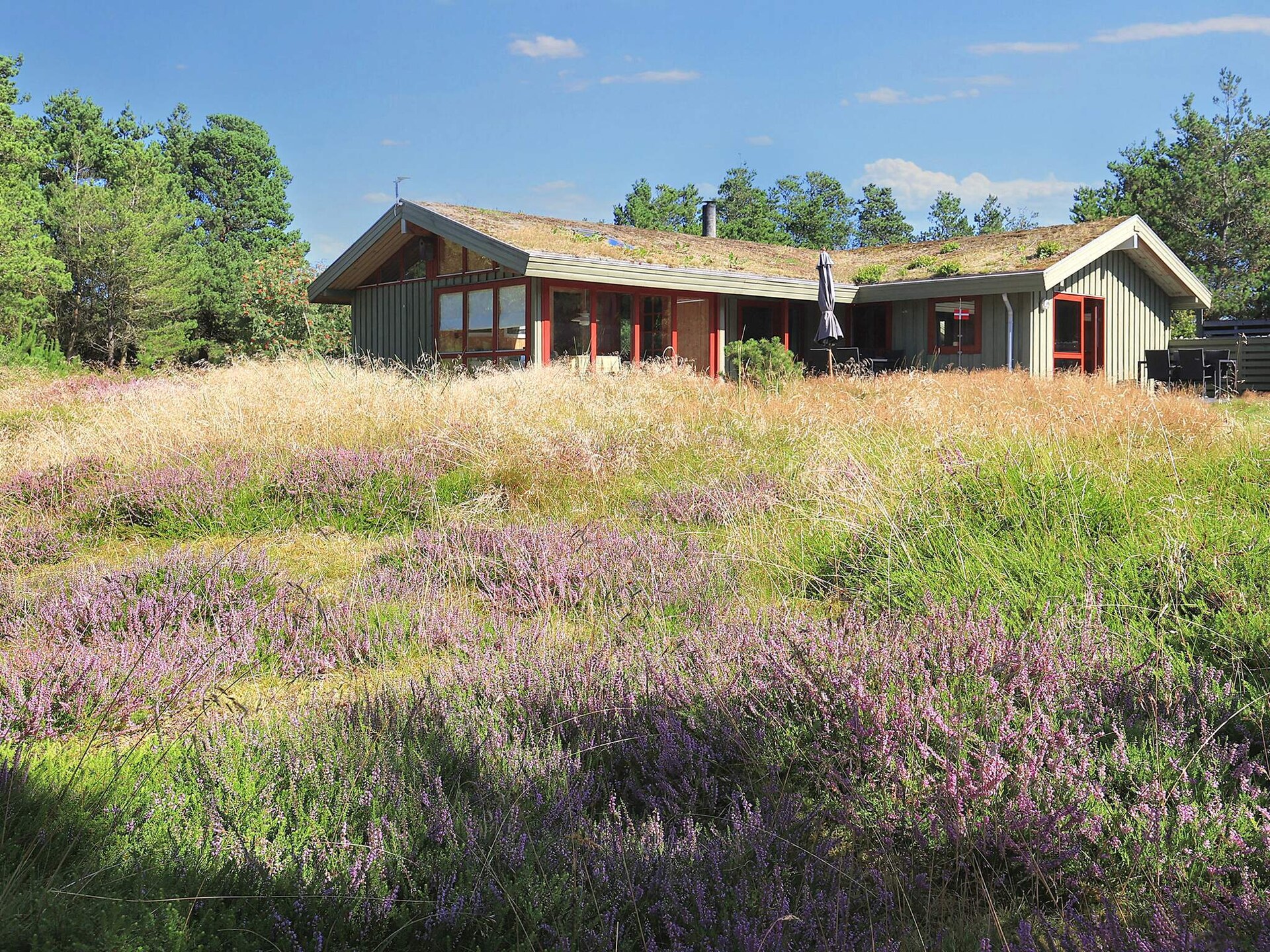 Vrijstaand vakantiehuis aan het bos in Blokhus met ruimte voor 6 personen - foto 45