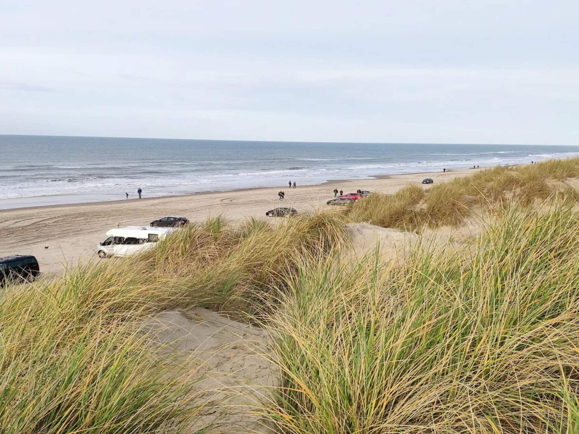 Vrijstaand vakantiehuis aan het bos in Blokhus met ruimte voor 6 personen - foto 11