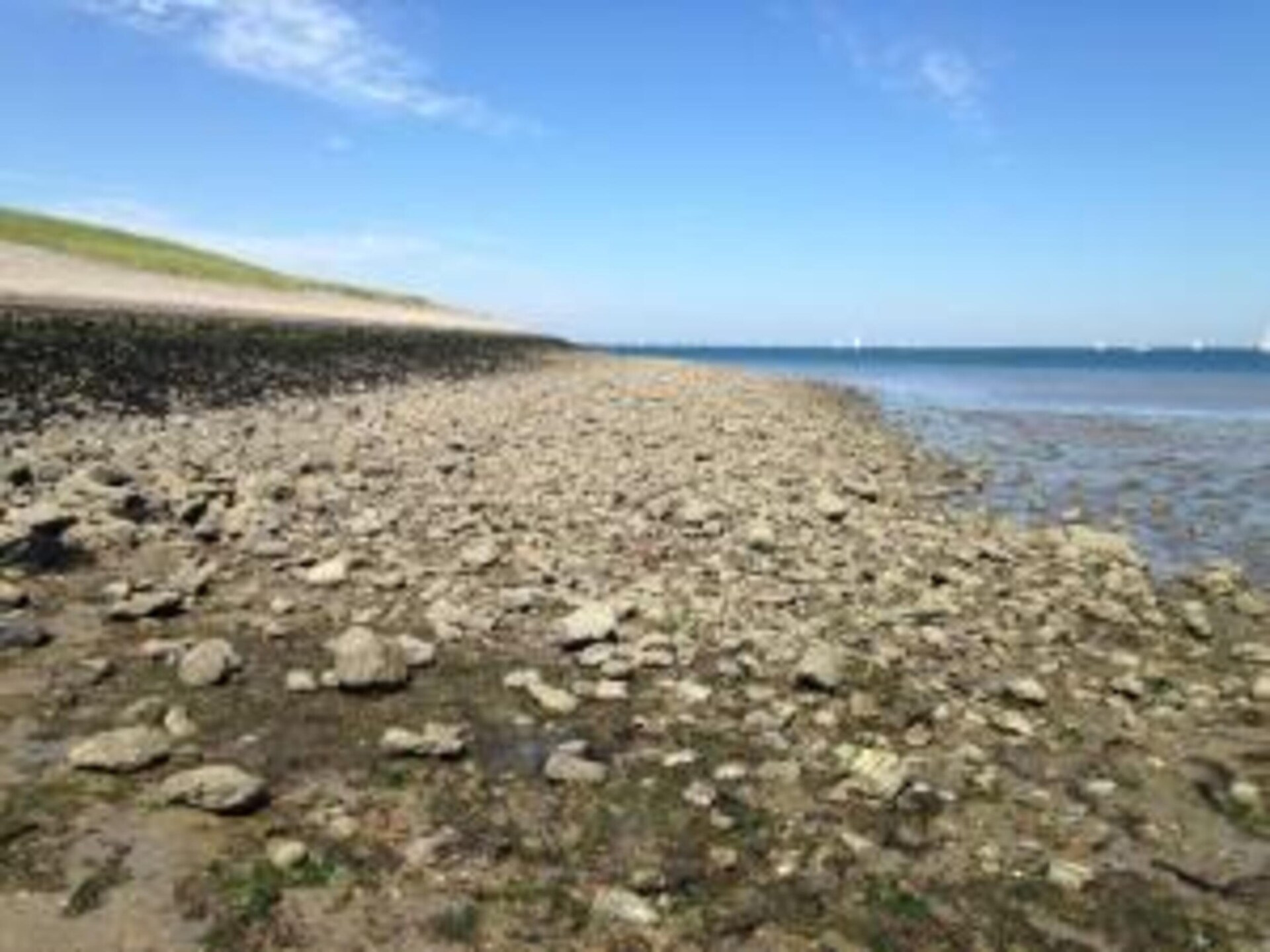 Cosy Oosterschelde: knus vakantiehuis aan het water in Zeeland - foto 35
