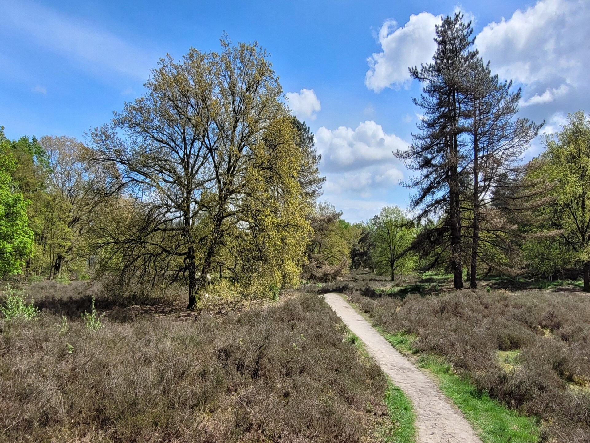 Romantische villa met privésauna in hartje Overloon - foto 18