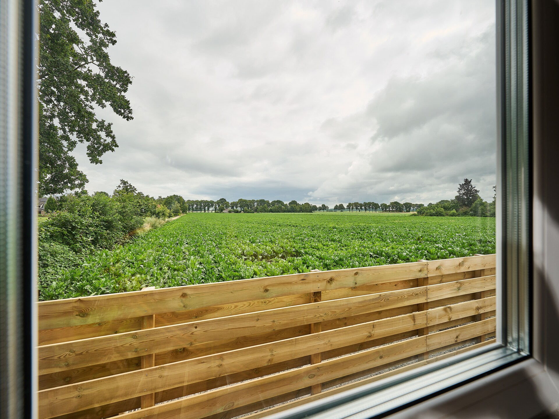 De Weide: stijlvol vakantiehuis met omheinde tuin in bosrijk Drenthe - foto 16