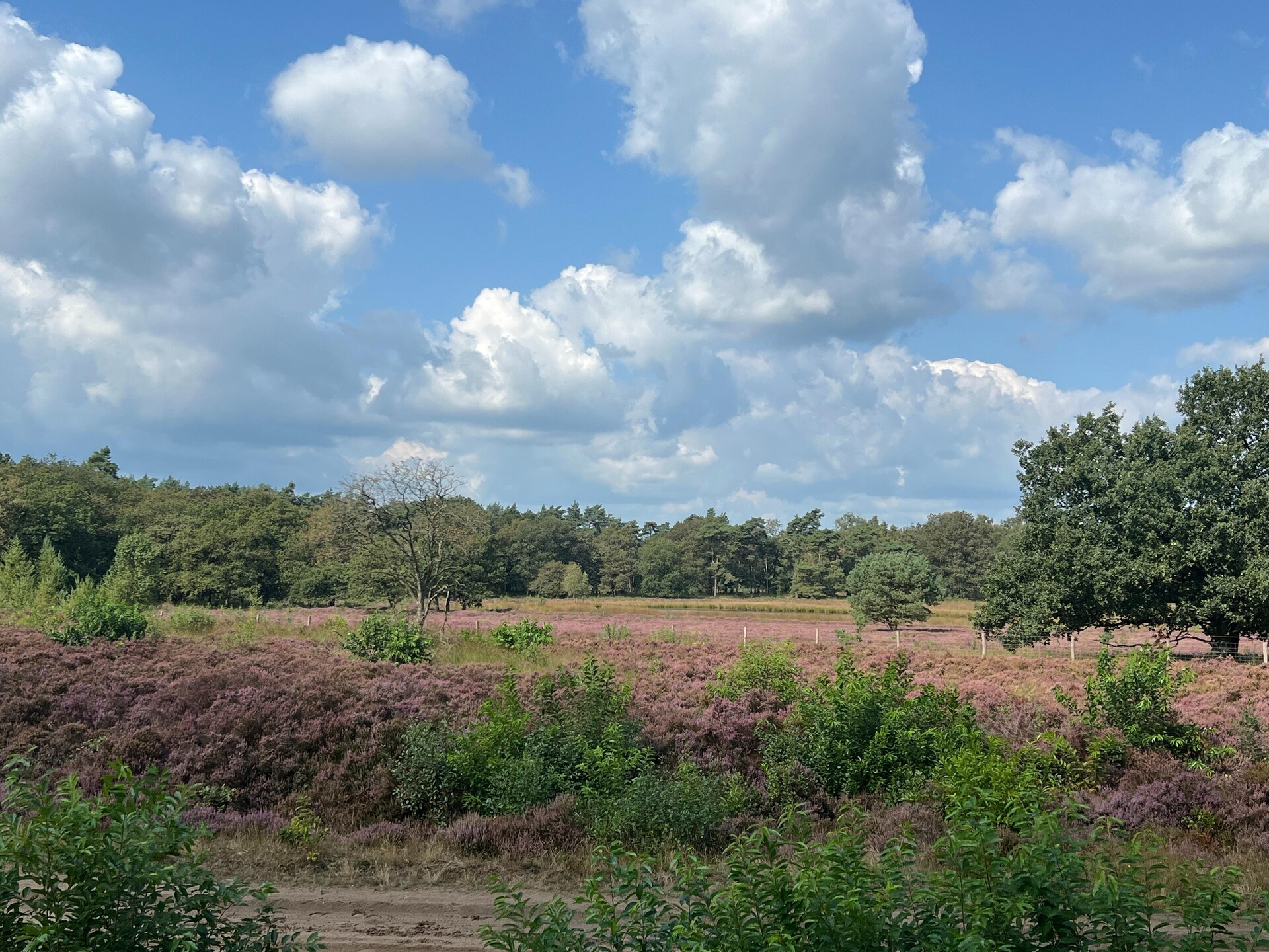 Vrijstaand vakantiehuis De Ploeg voor 6 personen in Drents platteland - foto 20