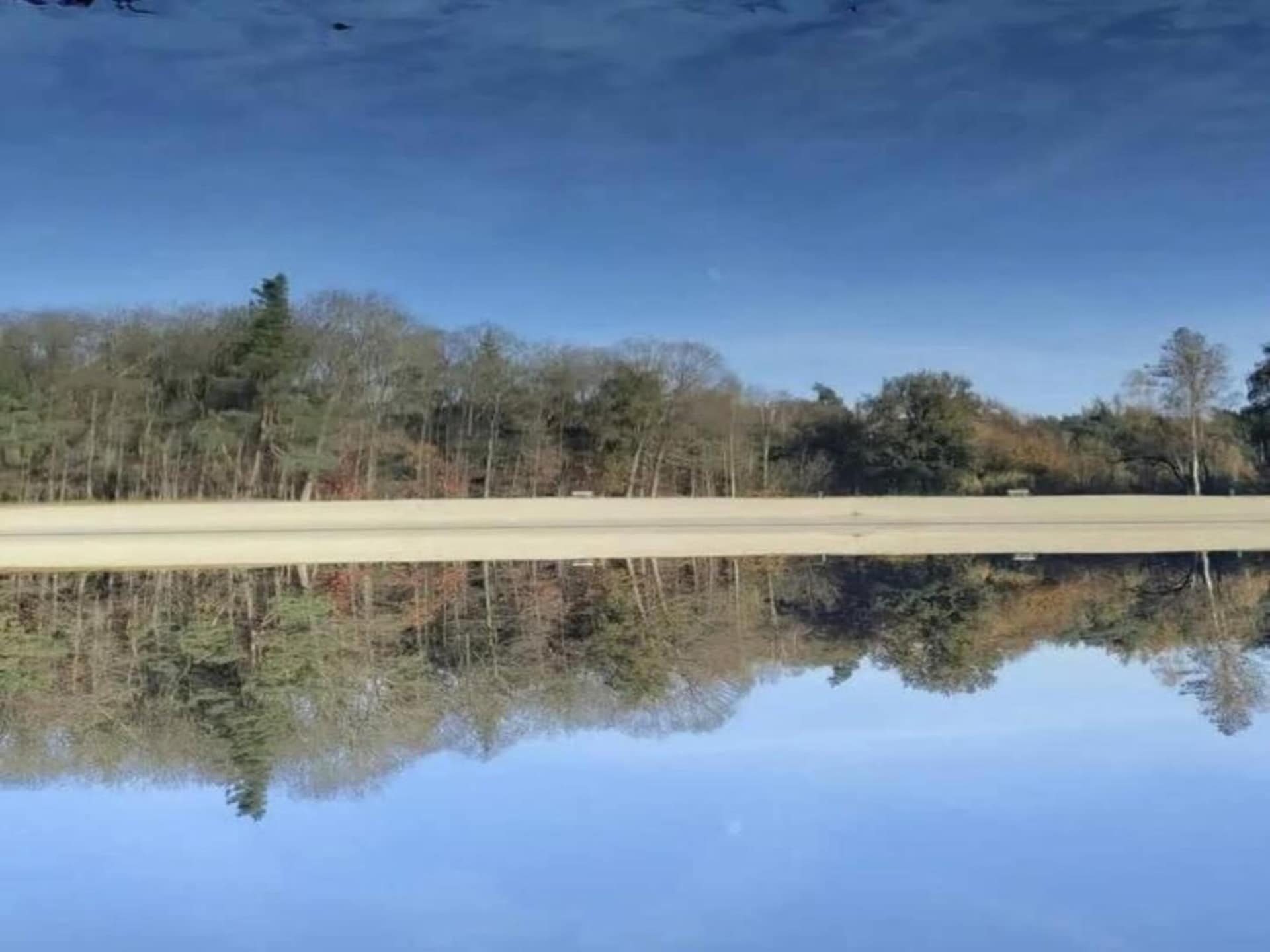 Vrijstaand vakantiehuis De Riek in Drents landschap, huisdieren welkom - foto 21