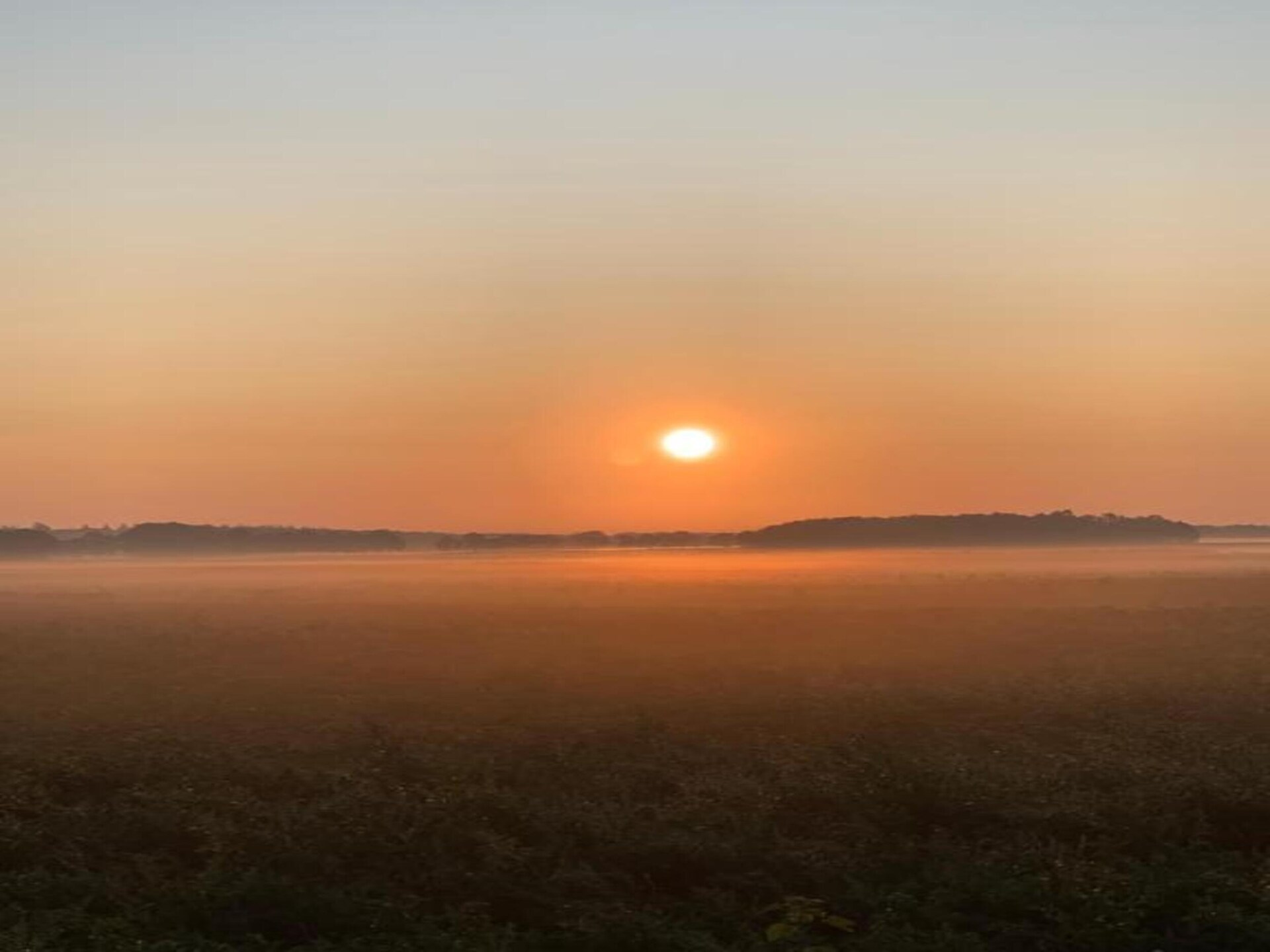 Vrijstaand vakantiehuis De Riek in Drents landschap, huisdieren welkom - foto 23
