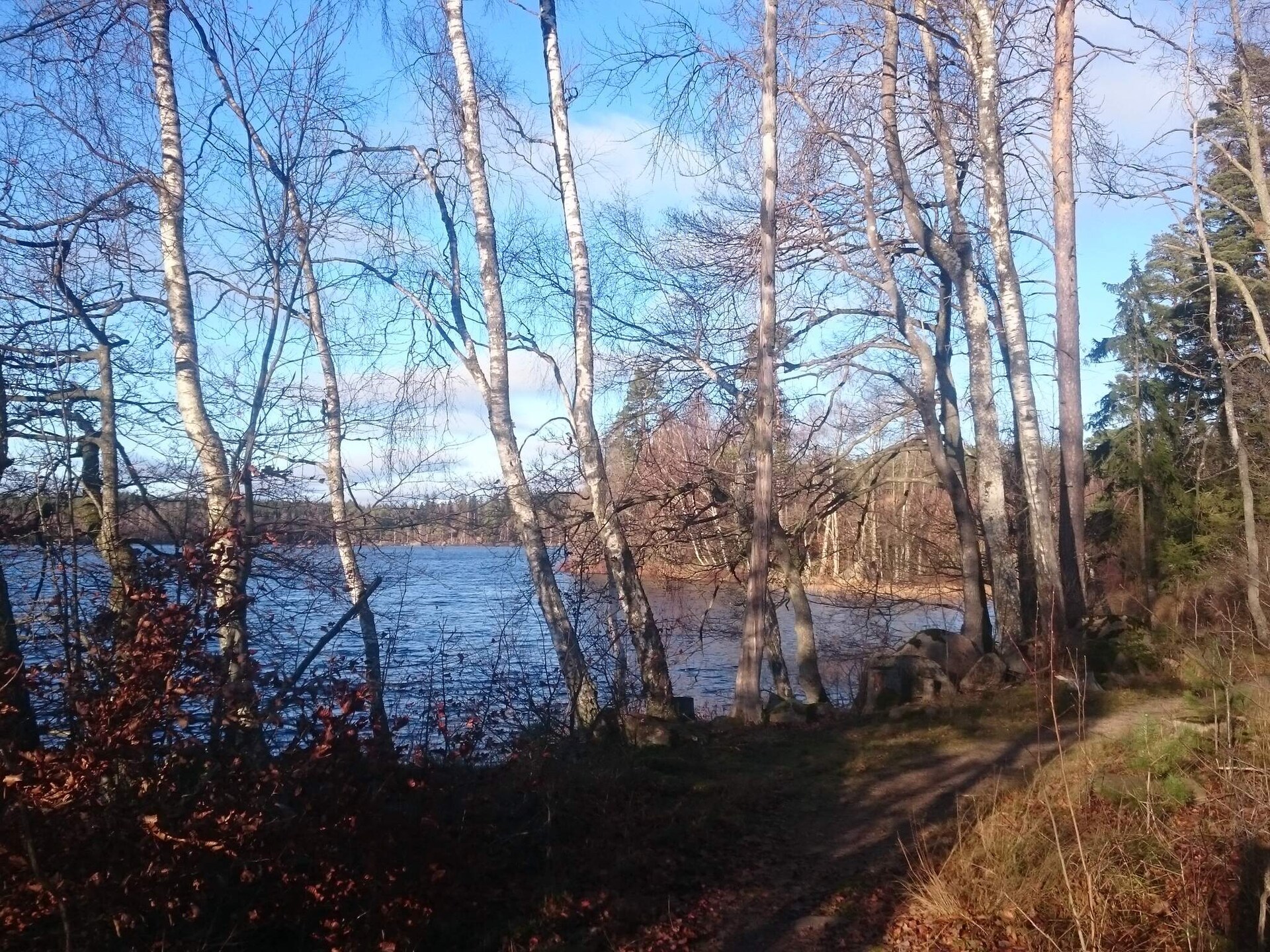 Rustiek vakantiehuis in Holmsjö nabij meren en natuur - foto 14