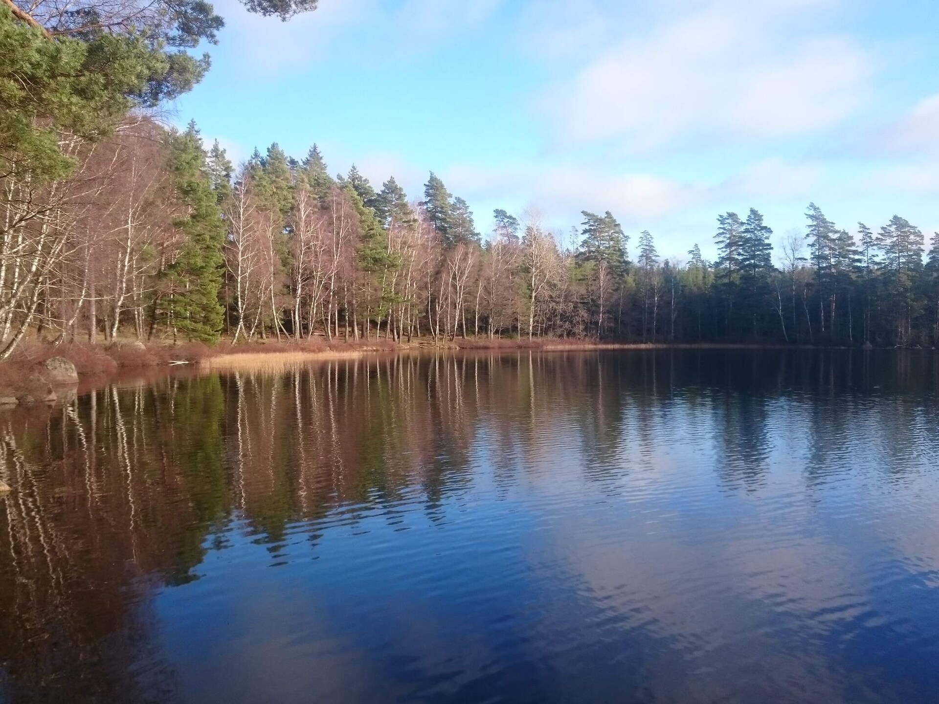 Rustiek vakantiehuis in Holmsjö nabij meren en natuur - foto 18