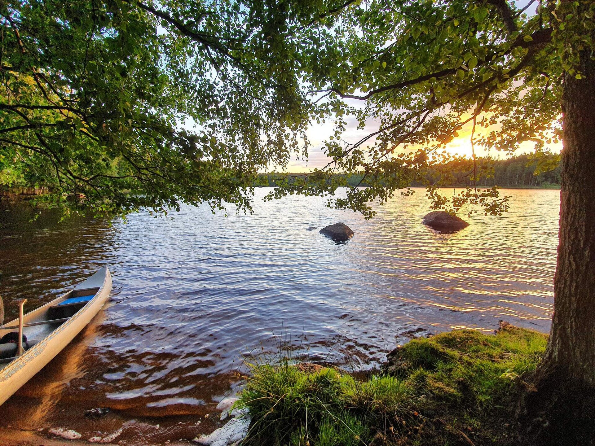 Rustiek vakantiehuis in Holmsjö nabij meren en natuur - foto 23