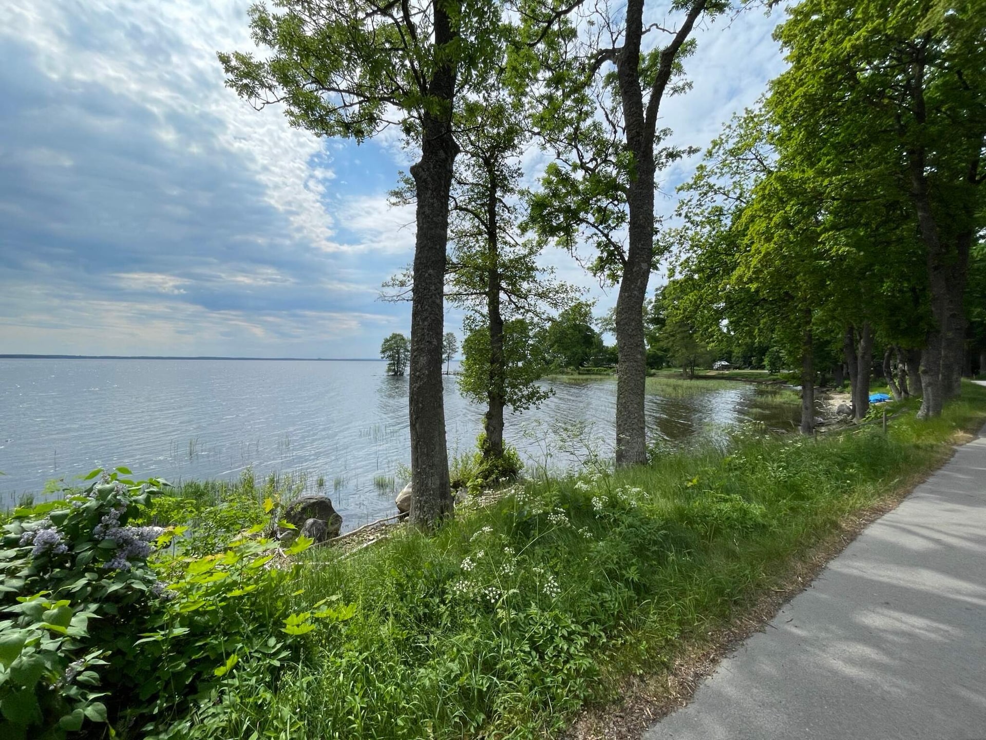 Knus vakantiehuis aan het water op Svärtinge Udde - foto 9