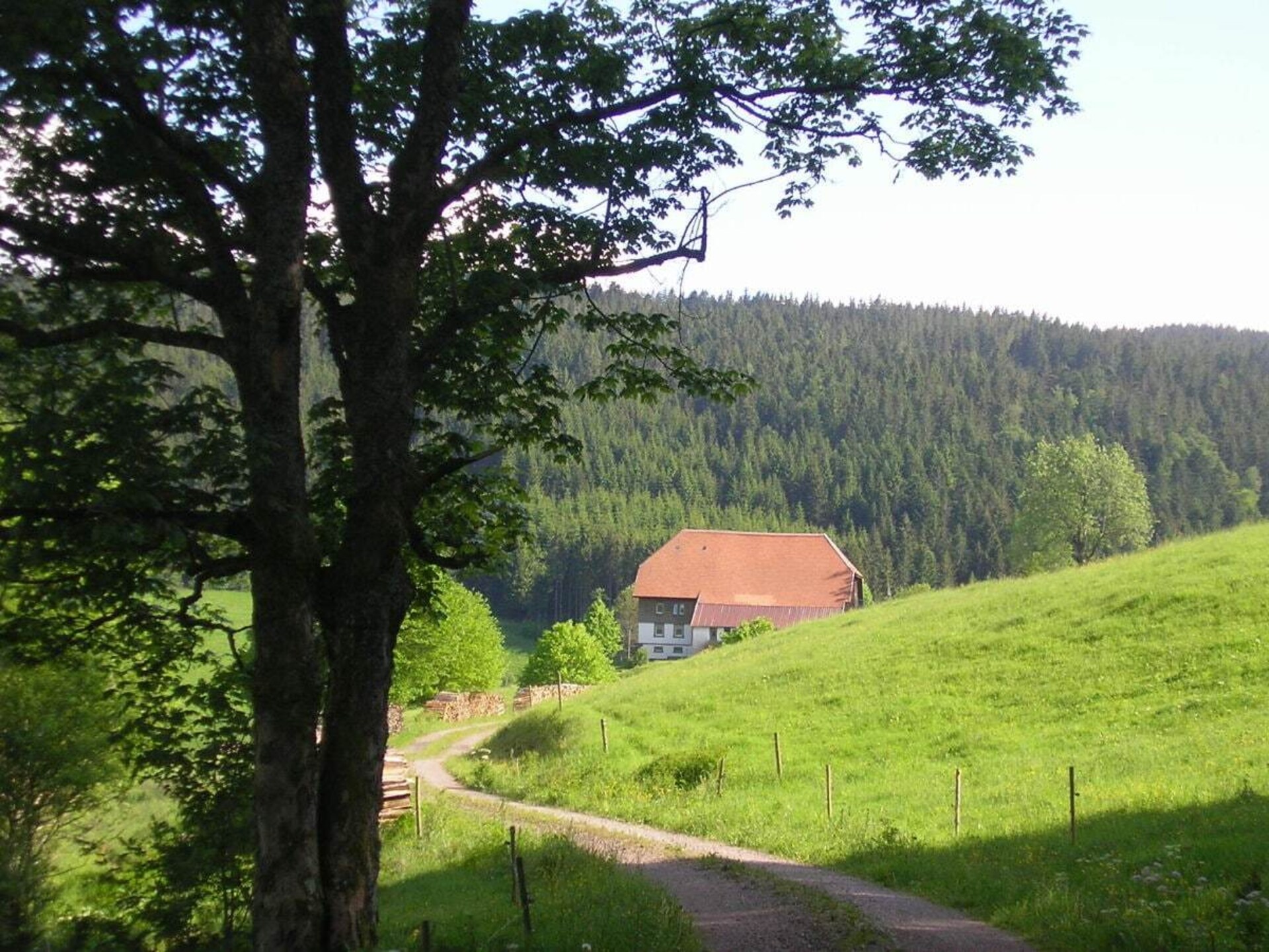 Knus vakantiehuis op biologische boerderij in Breitnau, vlakbij de skipiste - foto 6