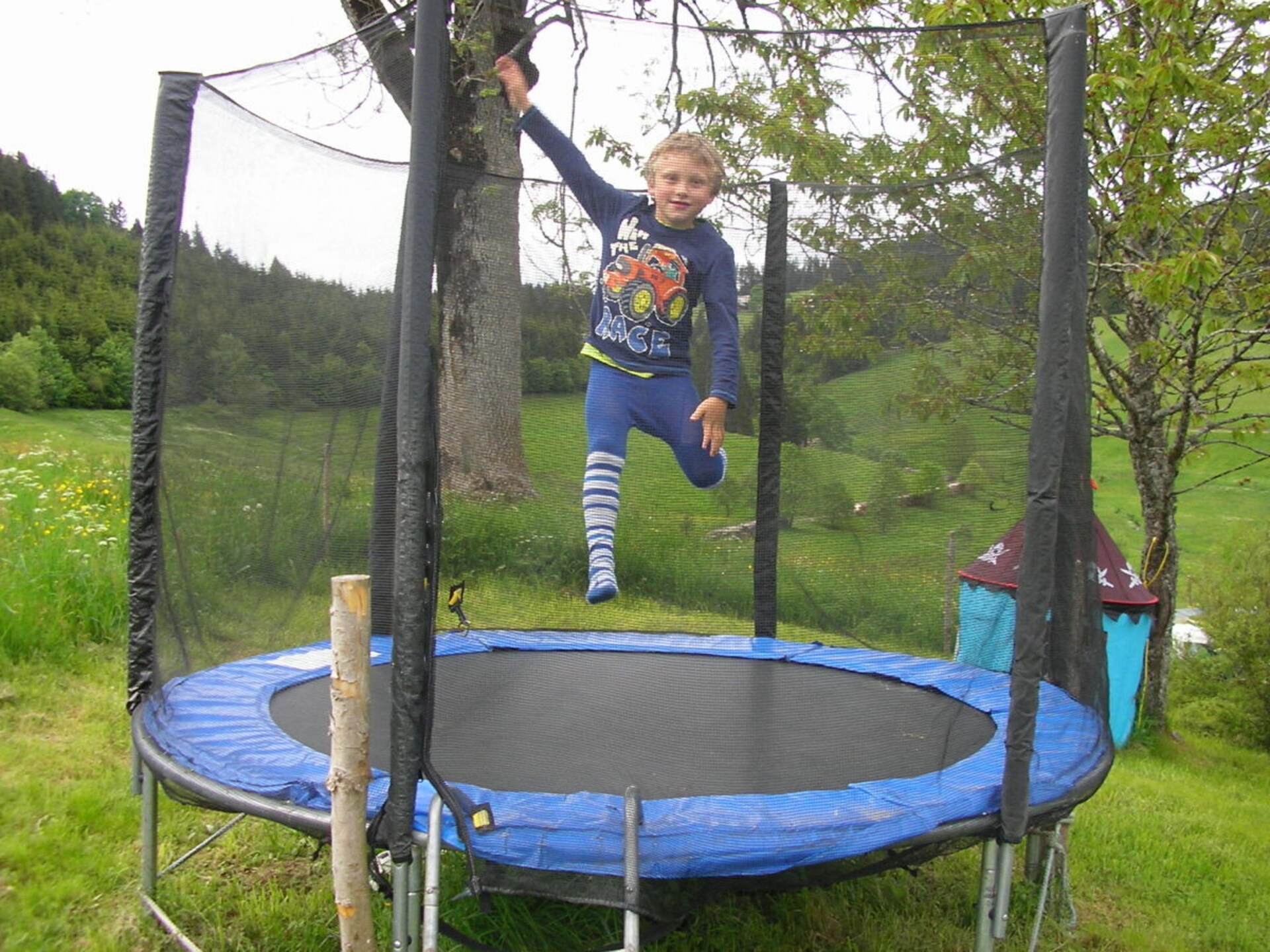 Knus vakantiehuis op biologische boerderij in Breitnau, vlakbij de skipiste - foto 21