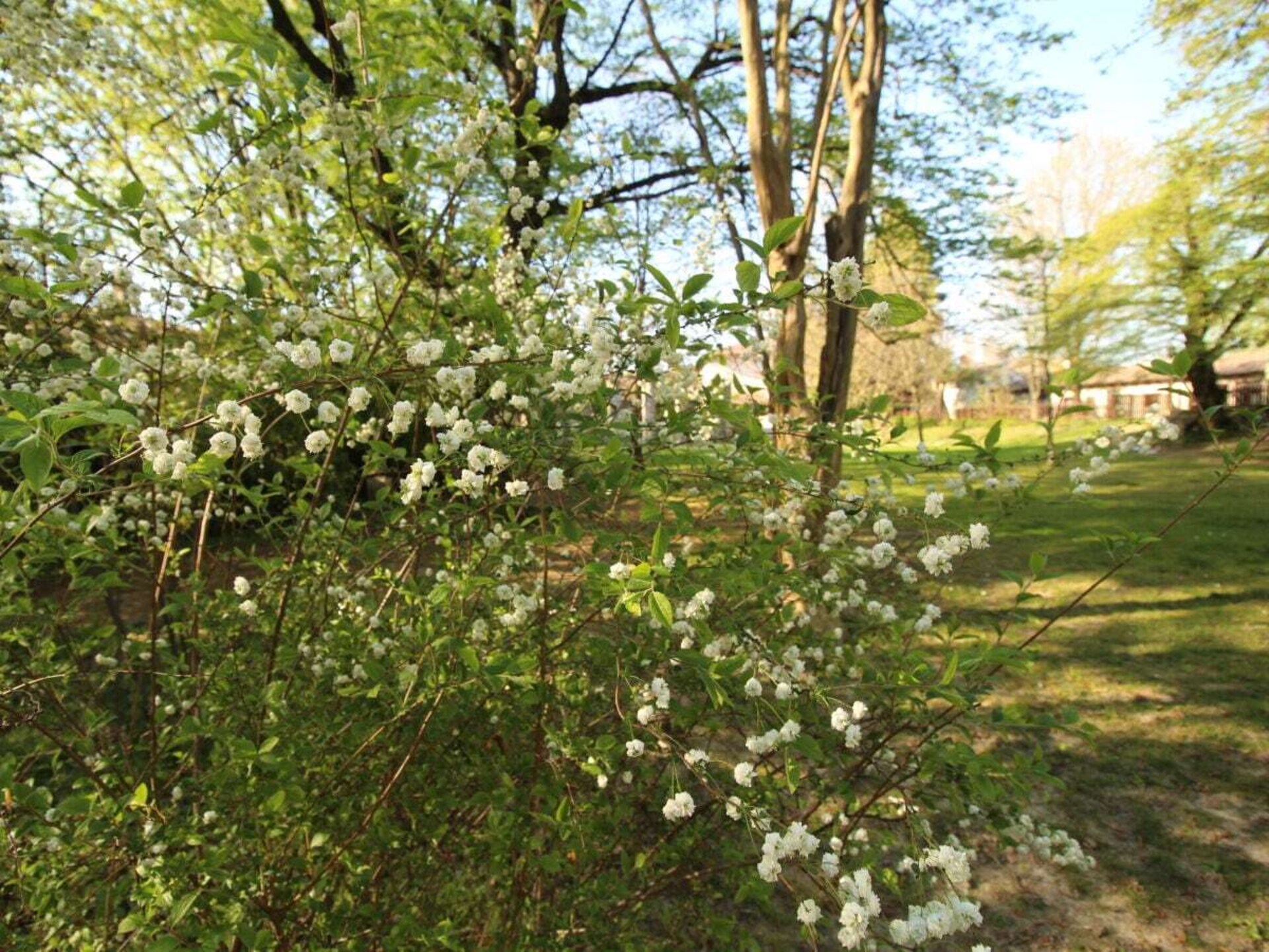 Middeleeuws vakantiehuis met privétuin in kasteeldorp Strassoldo - foto 23