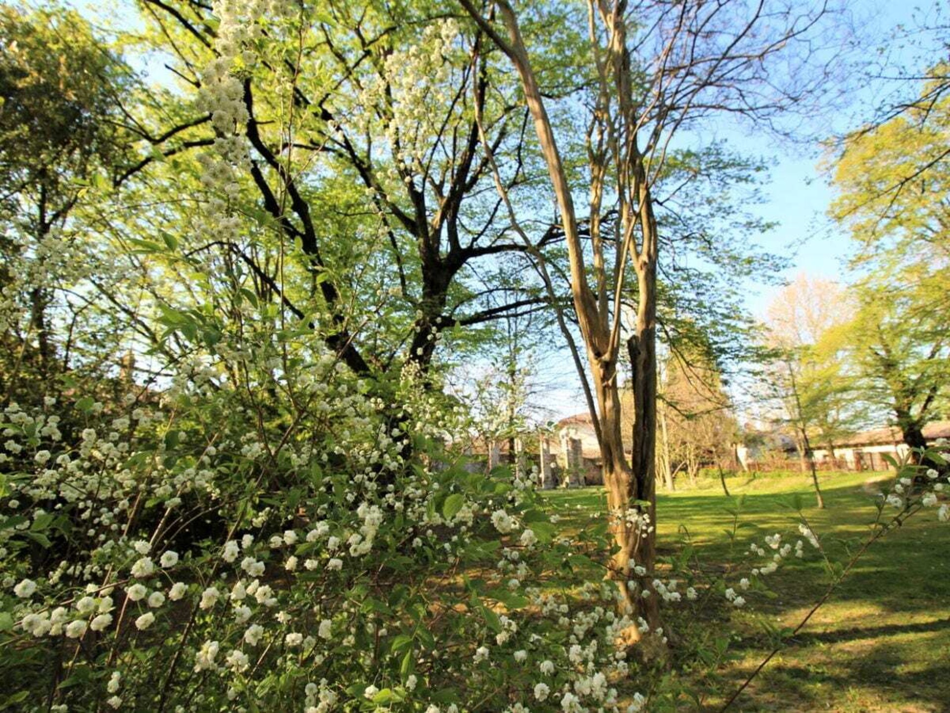 Historische torenvilla met kasteelpark in Friuli, Italië - foto 15