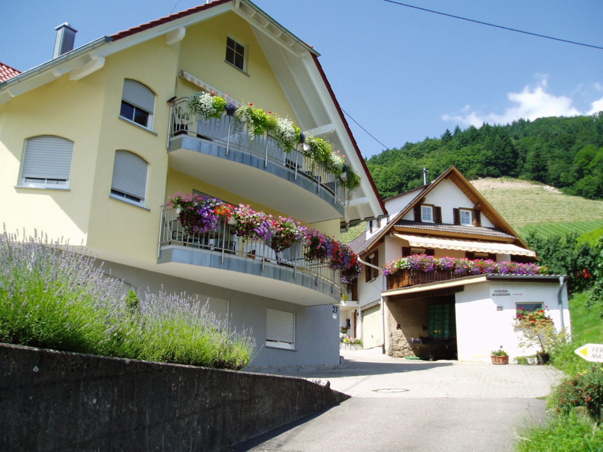 Rustiek vakantiehuis met panoramisch uitzicht in Lautenbach - foto 3