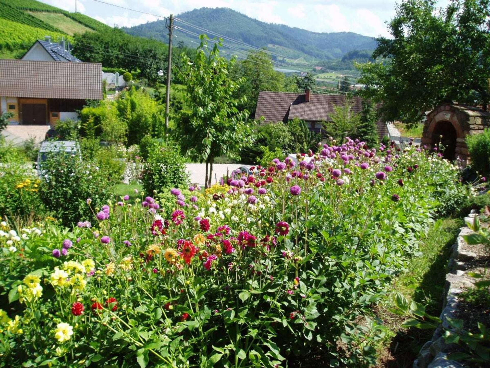 Rustiek vakantiehuis met panoramisch uitzicht in Lautenbach - foto 9