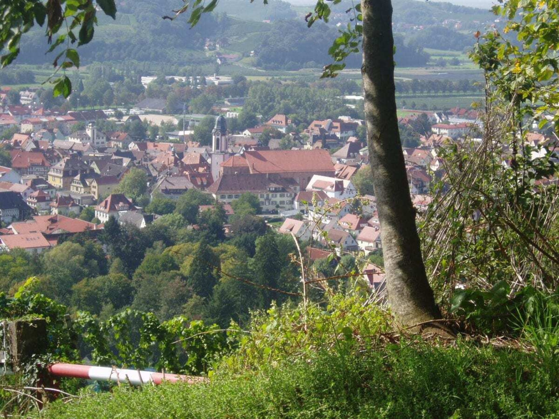 Rustiek vakantiehuis met panoramisch uitzicht in Lautenbach - foto 25