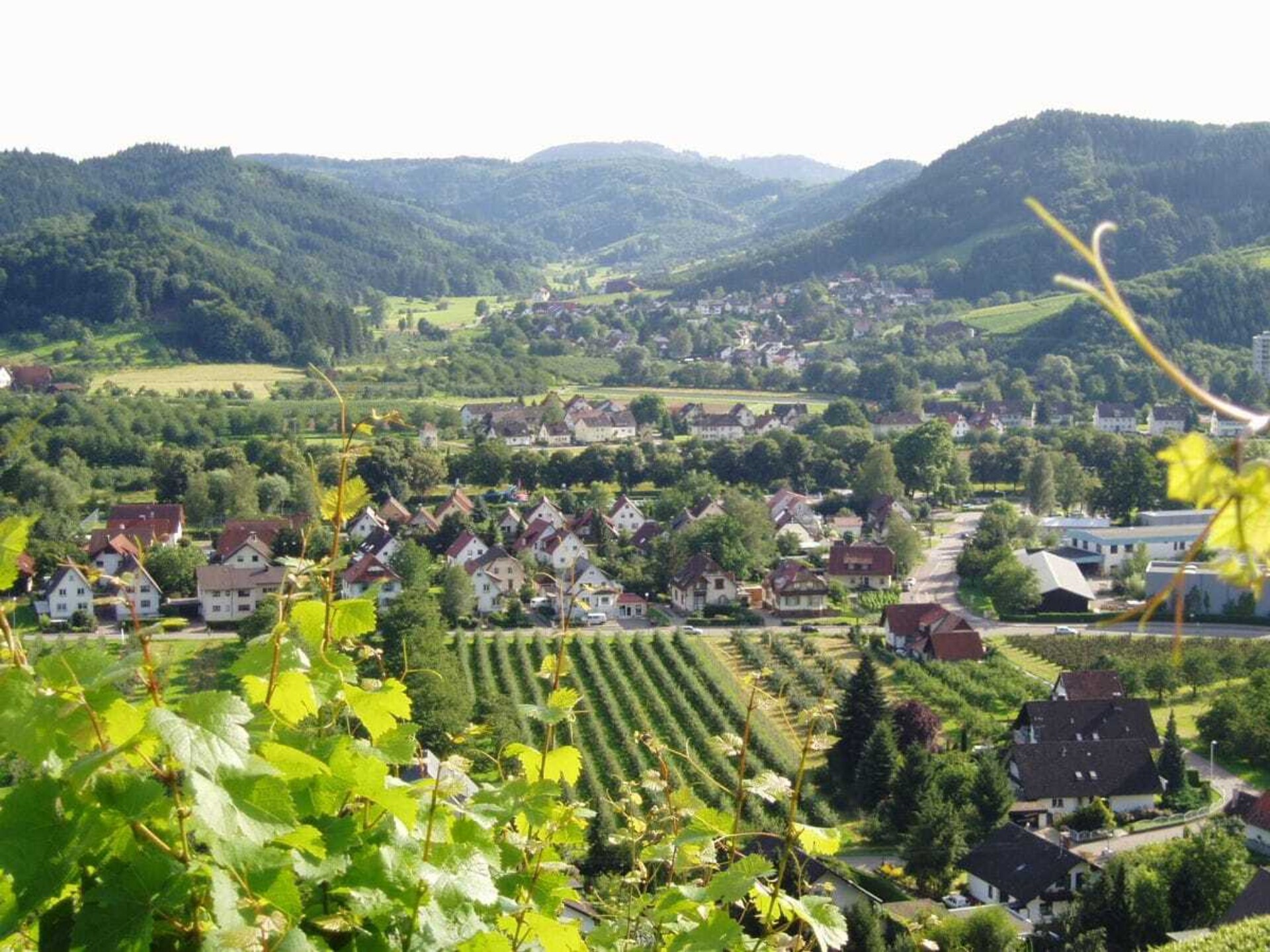 Rustiek vakantiehuis met panoramisch uitzicht in Lautenbach - foto 26