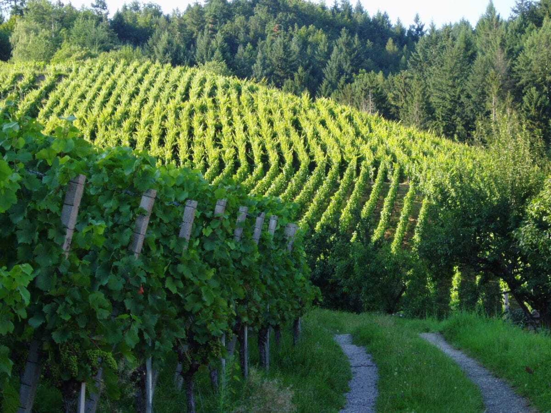 Rustiek vakantiehuis met panoramisch uitzicht in Lautenbach - foto 27