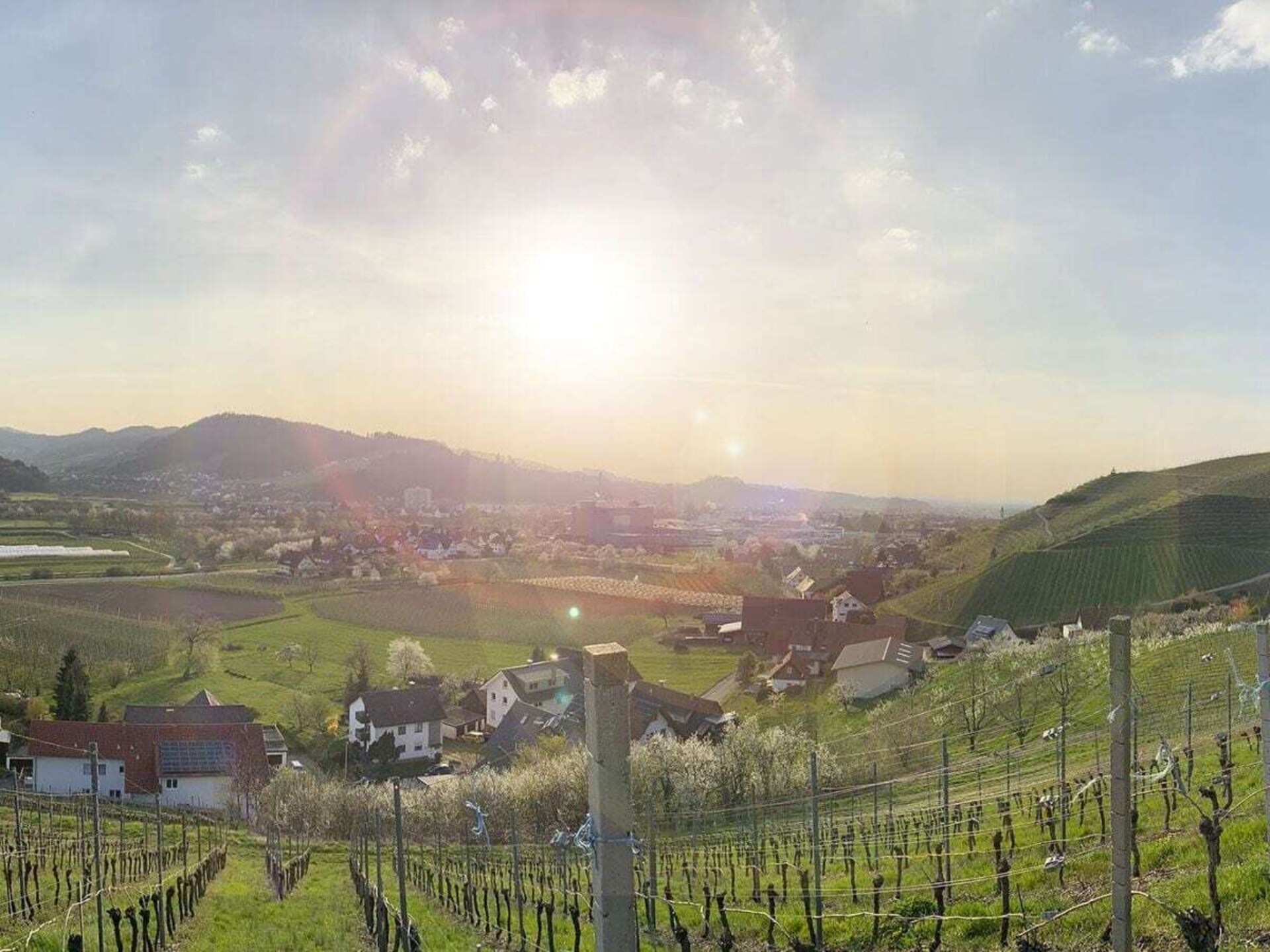 Rustiek vakantiehuis met panoramisch uitzicht in Lautenbach - foto 29