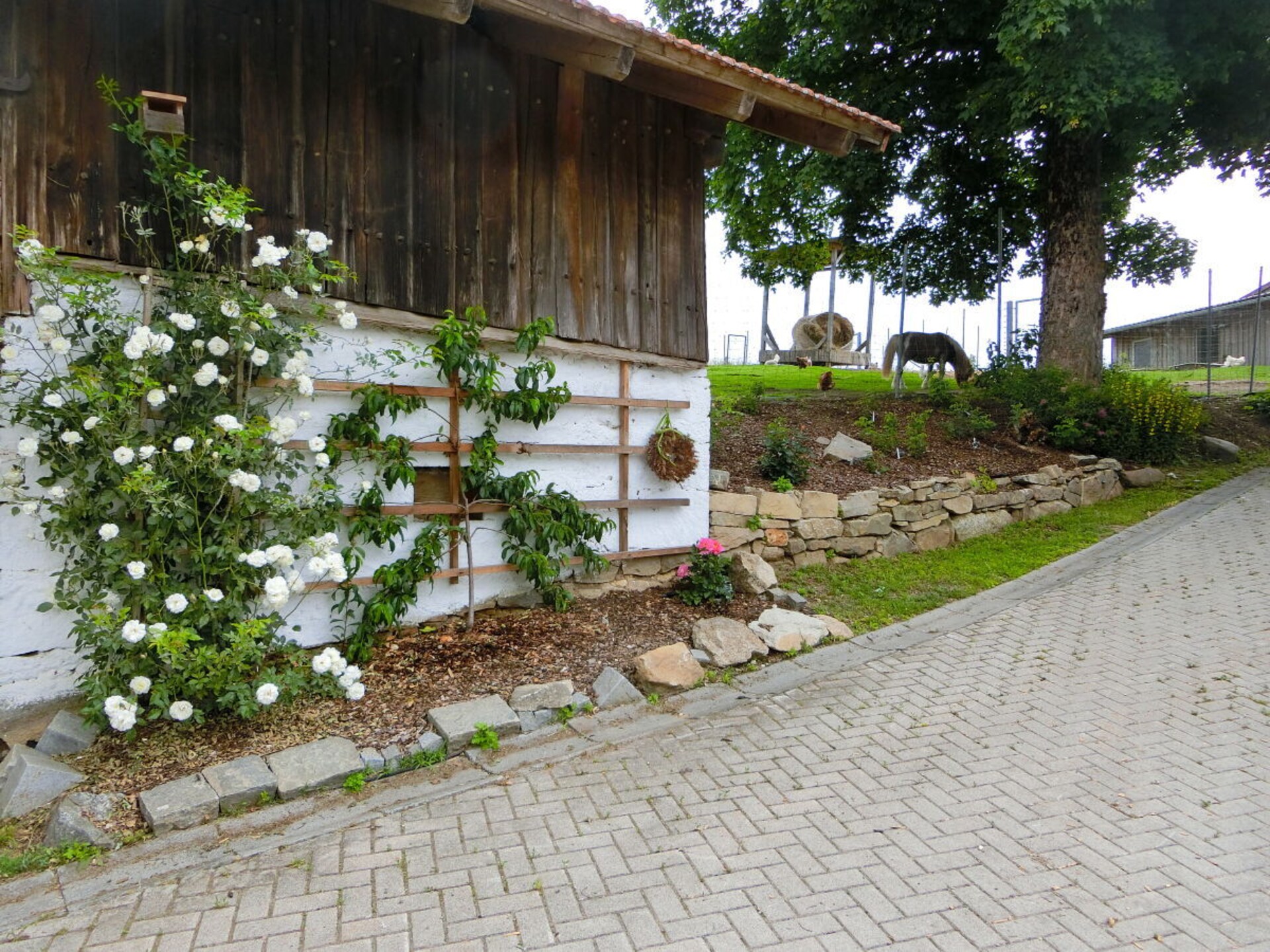Bio-boerderij in Hutthurm met uitzicht op het Beierse Woud - foto 5