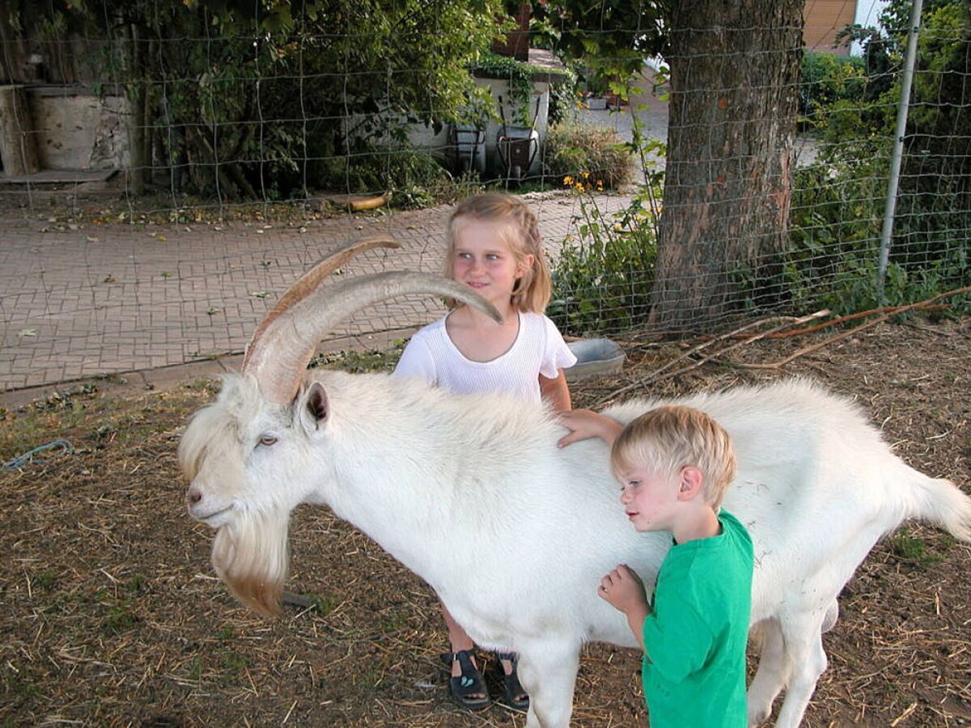 Bio-boerderij in Hutthurm met uitzicht op het Beierse Woud - foto 25