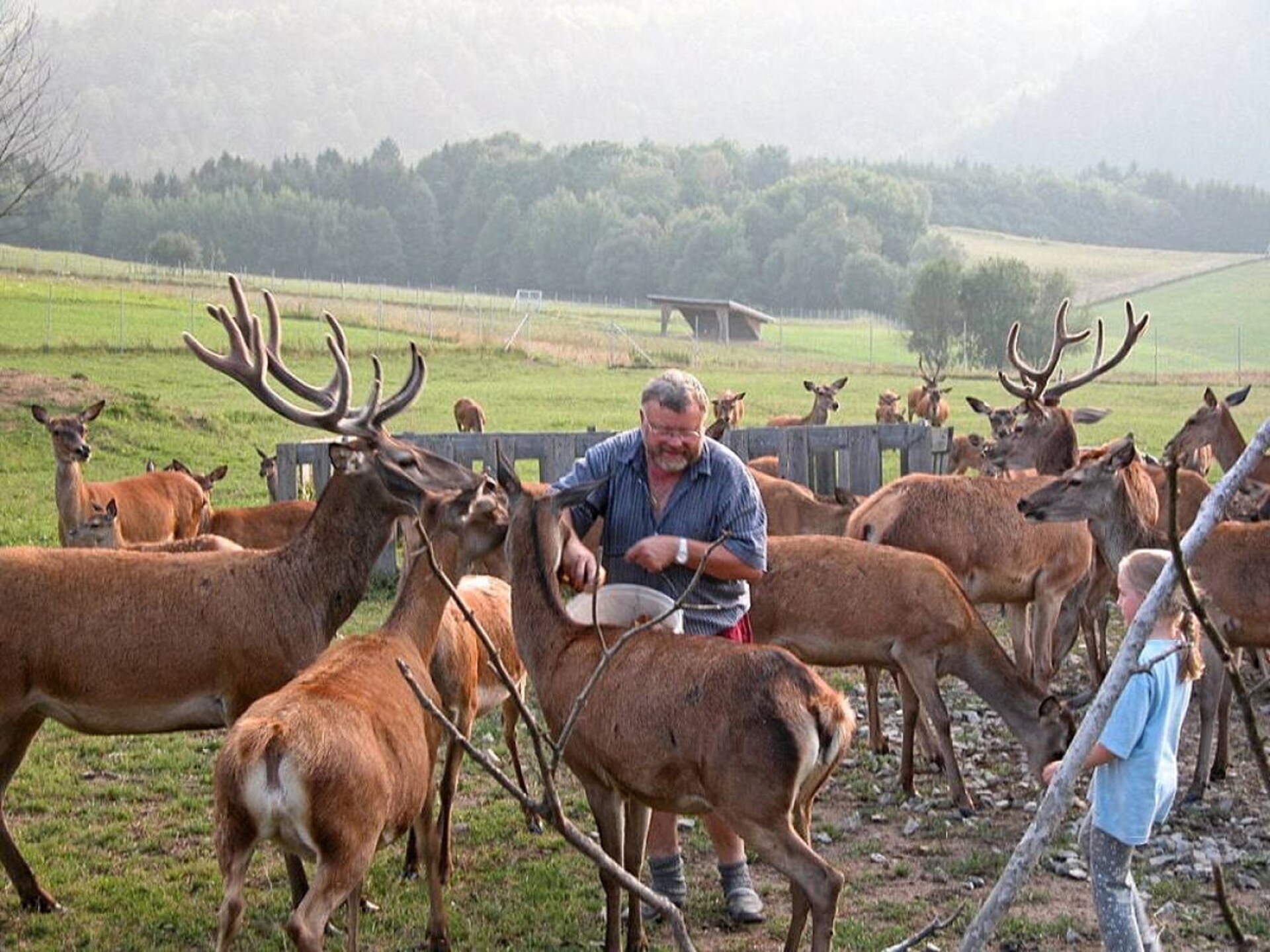 Bio-boerderij in Hutthurm met uitzicht op het Beierse Woud - foto 26