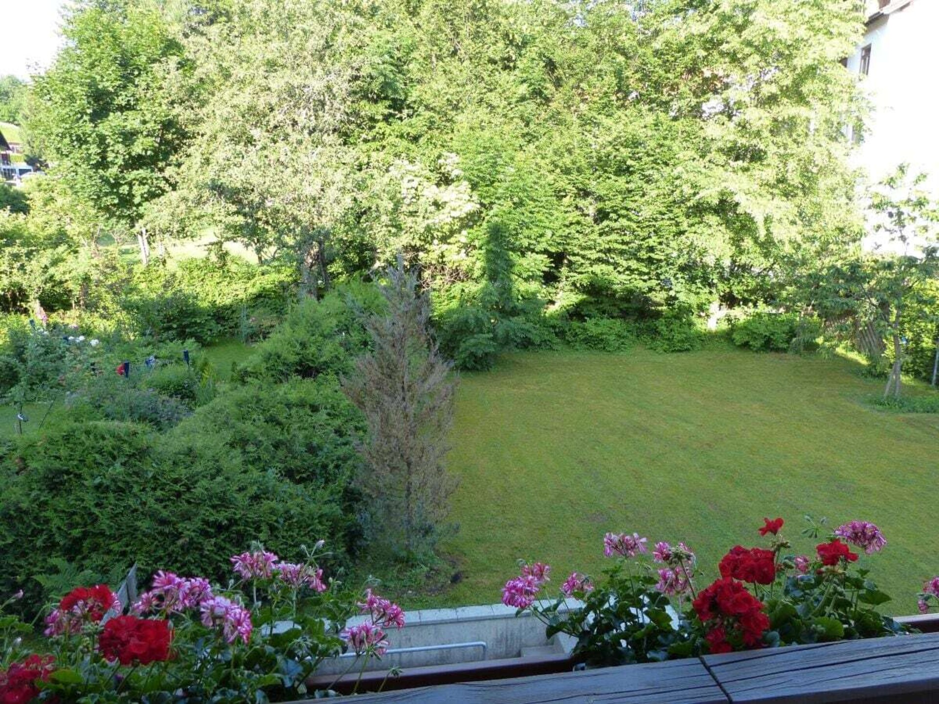 Luxe 4-sterrenappartement Almrausch met balkon in het hart van Oberstaufen - foto 5