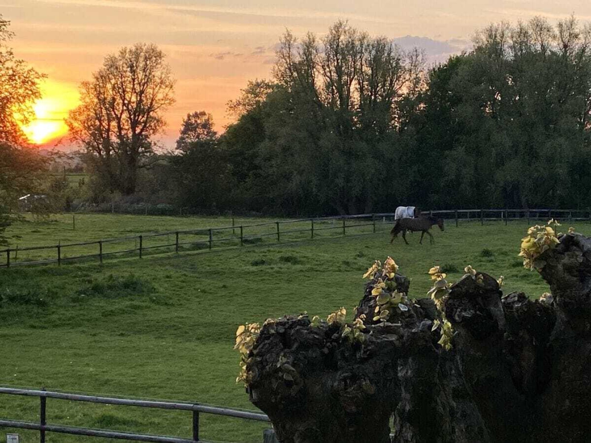 Ruim vakantiehuis voor 12 personen in Lehe, Dithmarschen – ideaal voor families - foto 36