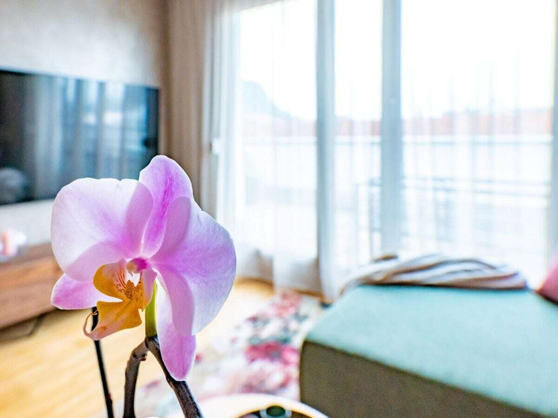 Top Of Singen: Ruim appartement met panoramisch uitzicht op de vulkaan - foto 12