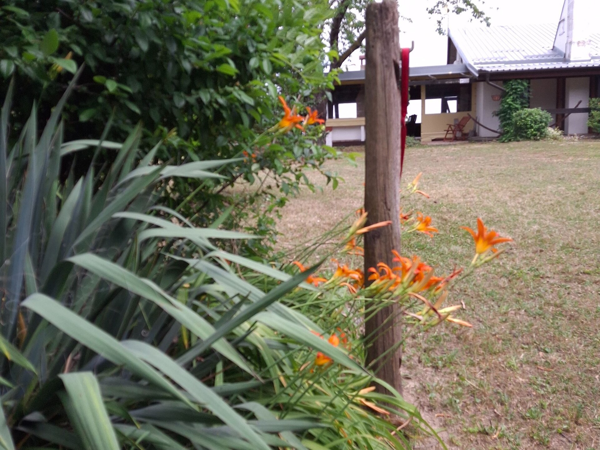 Holiday Home Nadira: Ruim vakantiehuis aan de Donau in Kroatisch Slavonië - foto 4