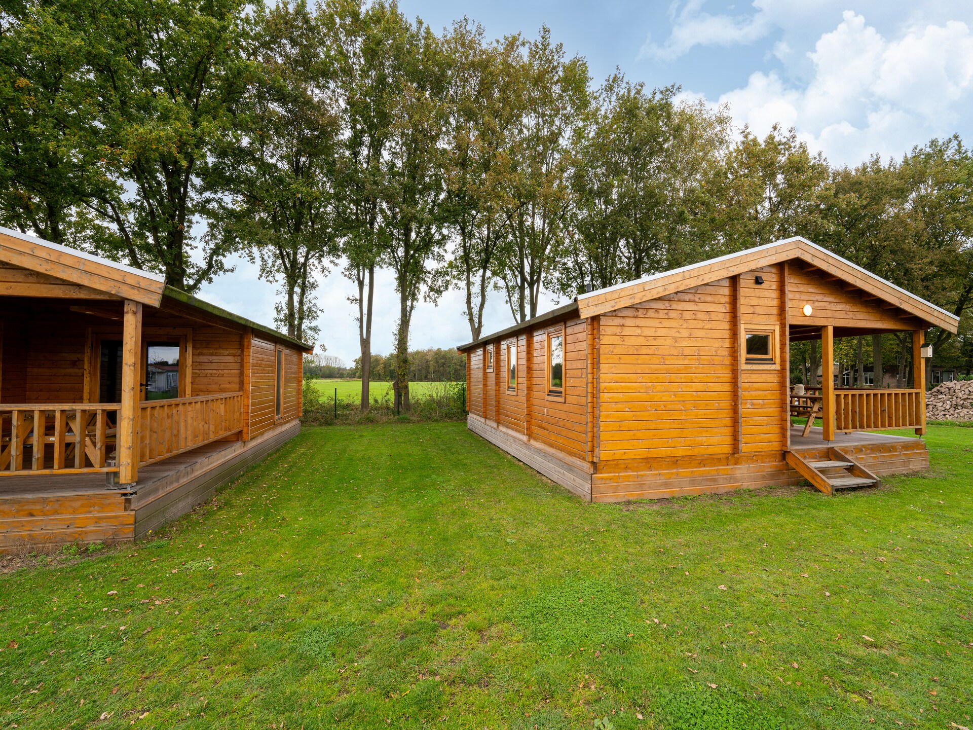 Chalet Riga: Luxe boshuis voor 6 personen in Brabantse Kempen - foto 13