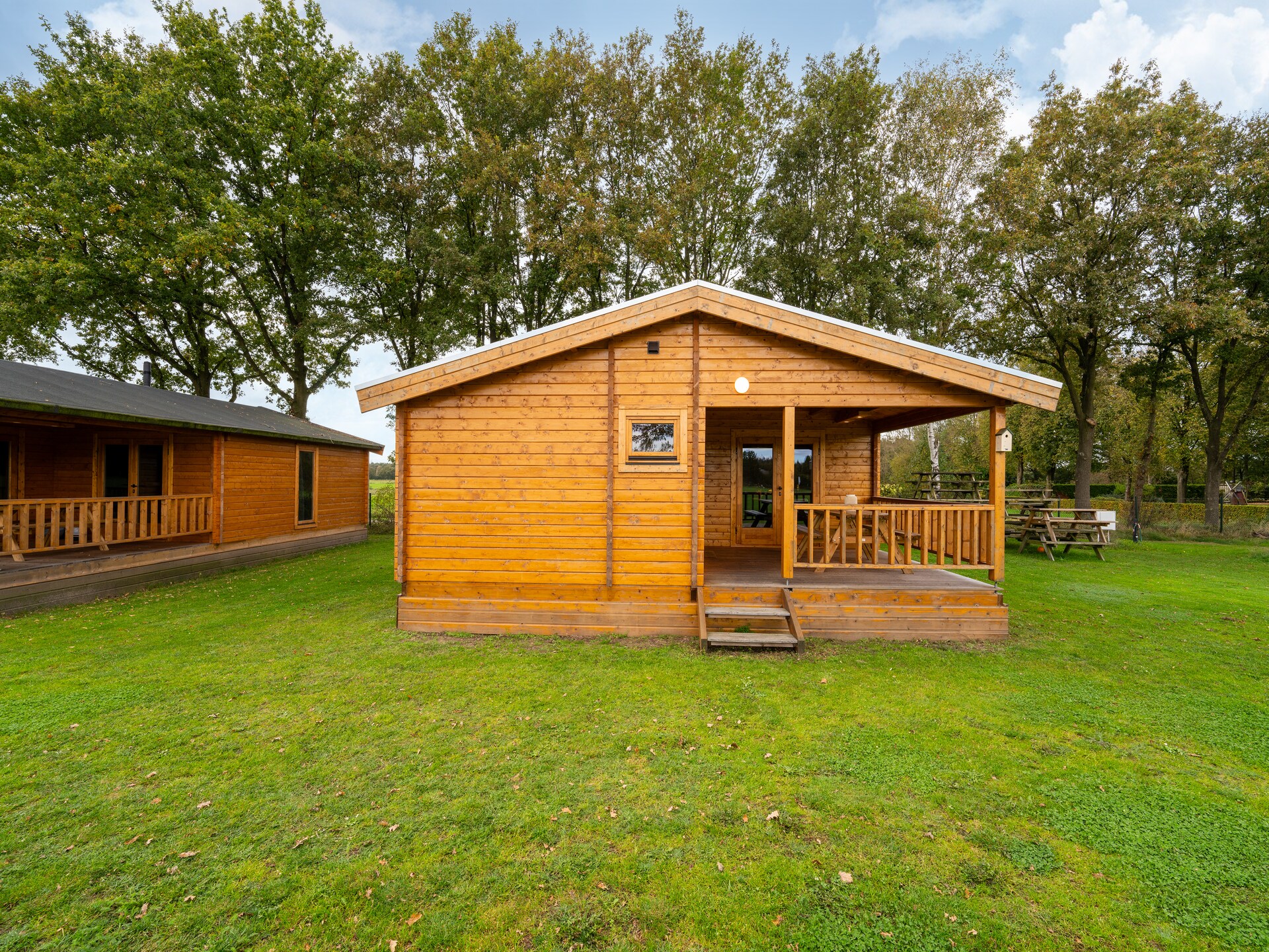 Chalet Riga: Luxe boshuis voor 6 personen in Brabantse Kempen - foto 6