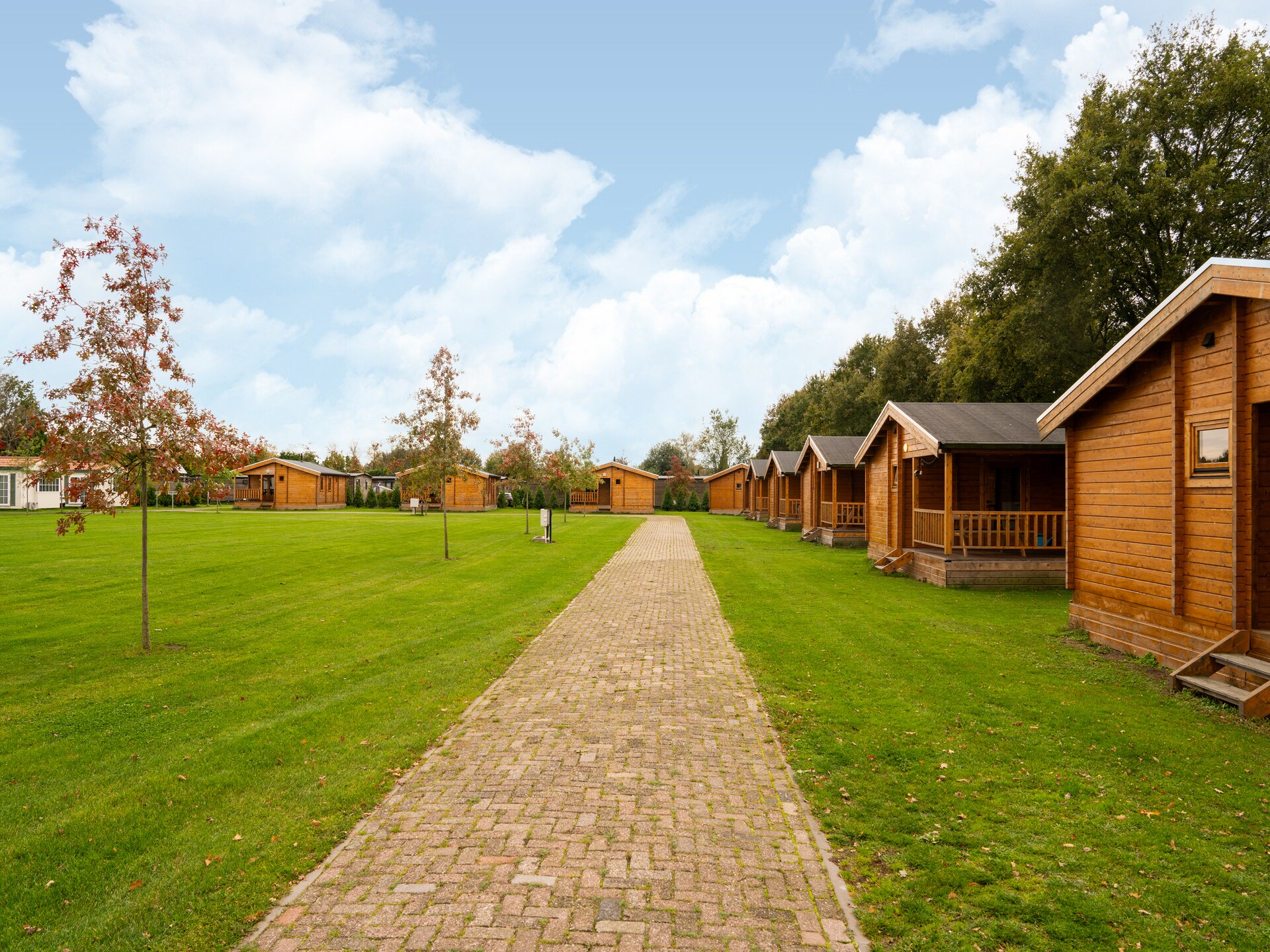 Chalet Riga: Luxe boshuis voor 6 personen in Brabantse Kempen - foto 33