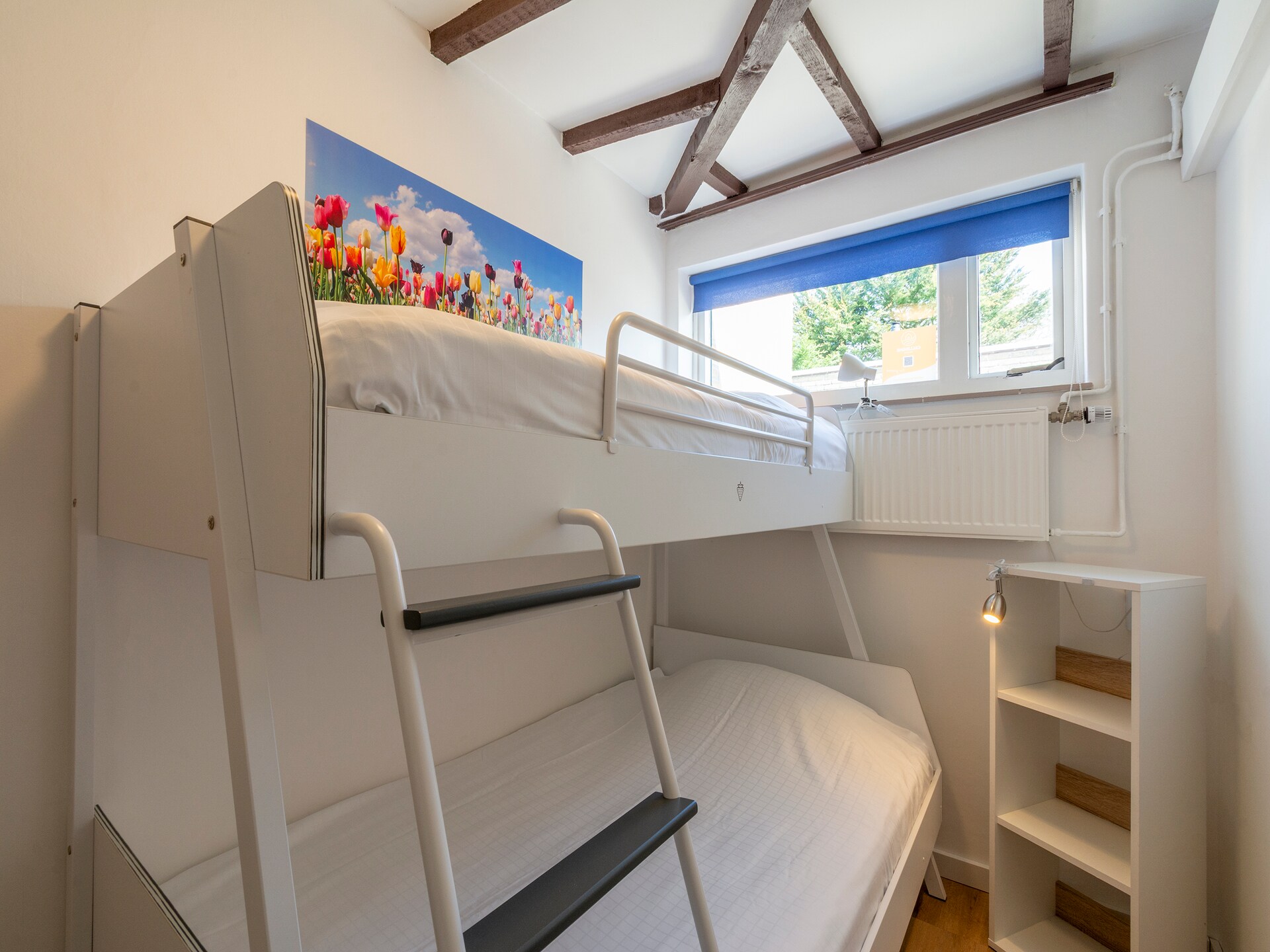 Gezellige vrijstaande bungalow in Sint Maartenszee, 4 km van het strand - foto 6