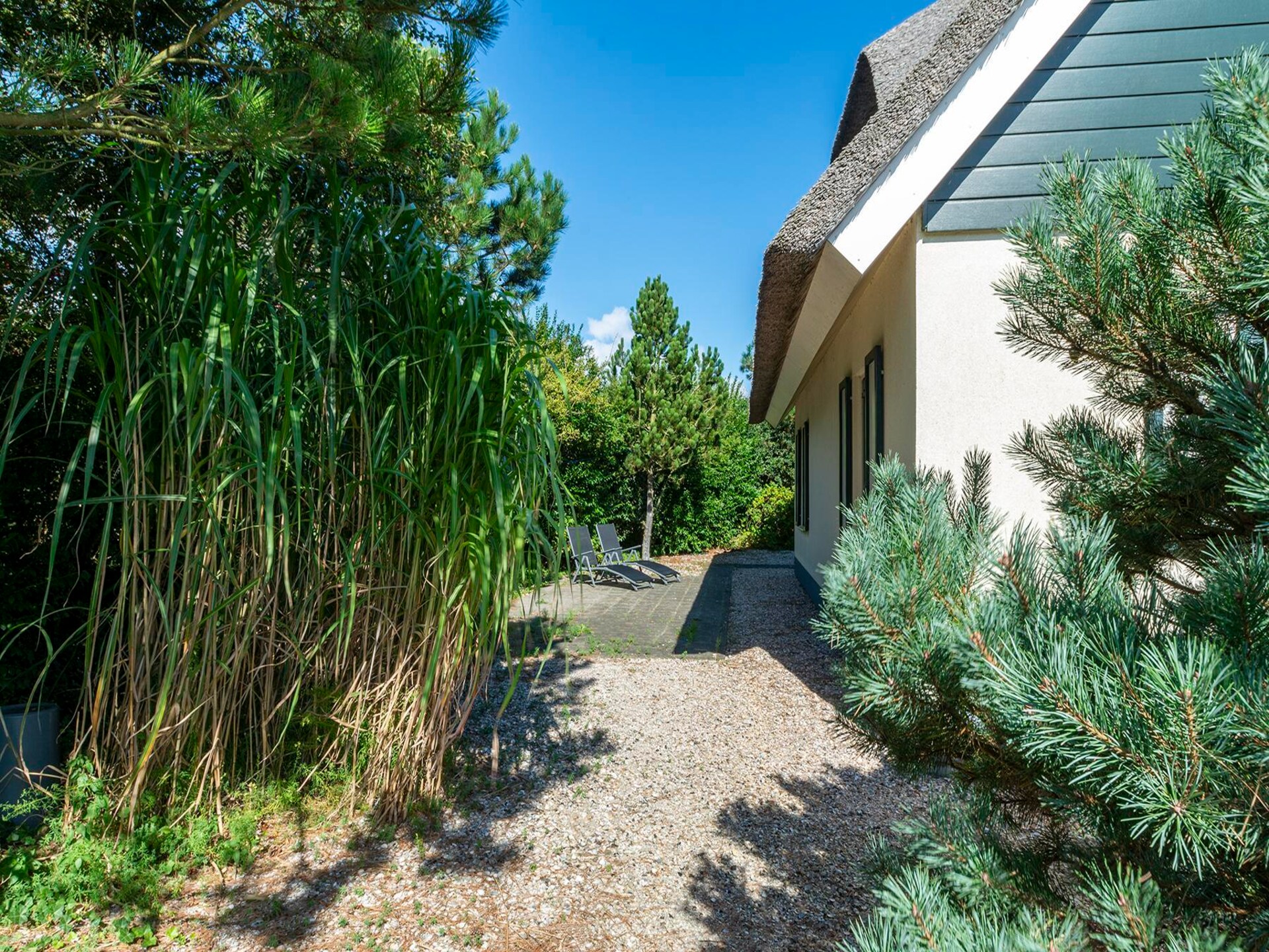 Duynopgangh 46: Stijlvolle villa op 700m van het strand - foto 21