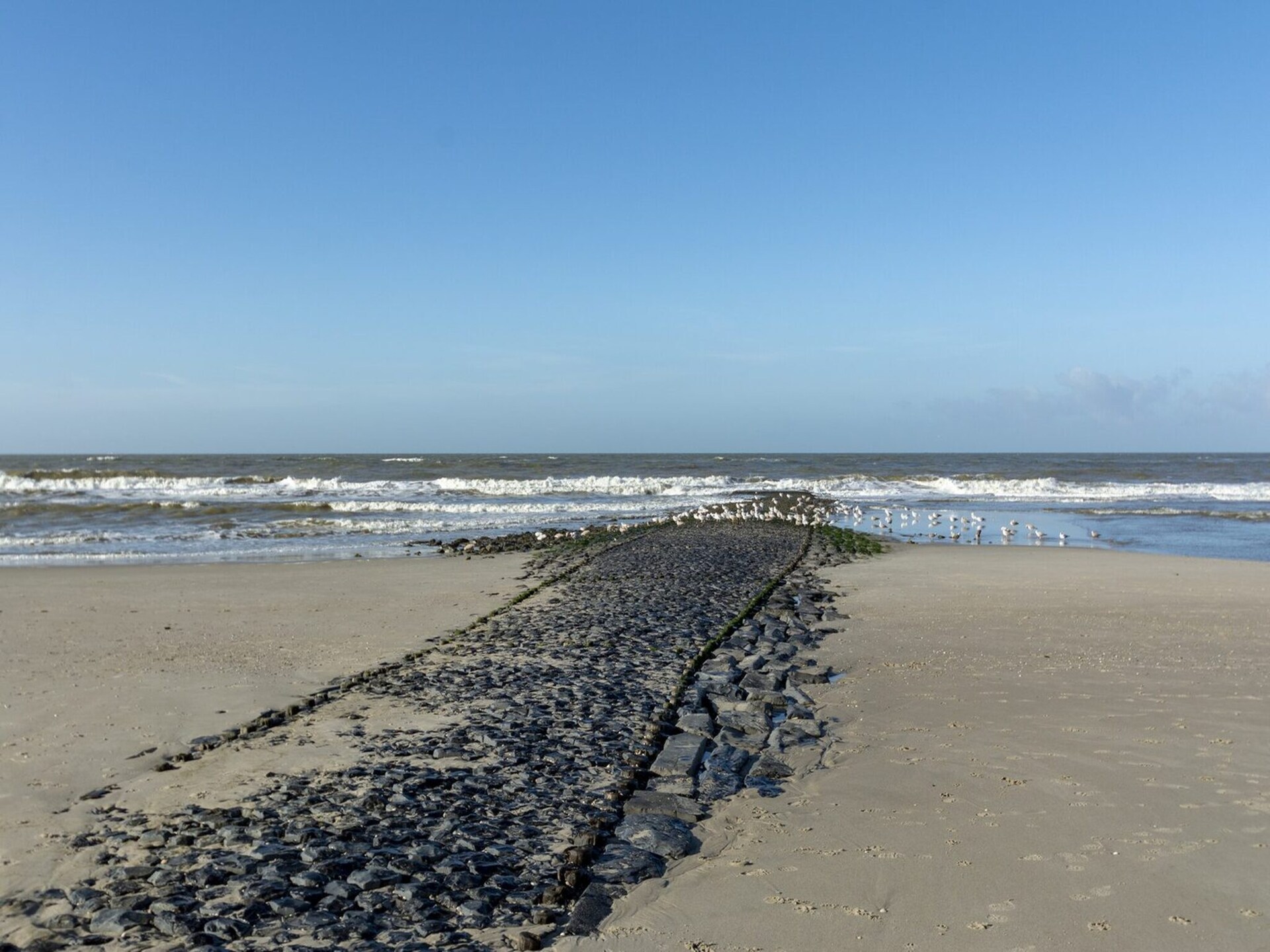 Suite Uitwaayer – Modern genieten in het hart van Noord-Holland - foto 15