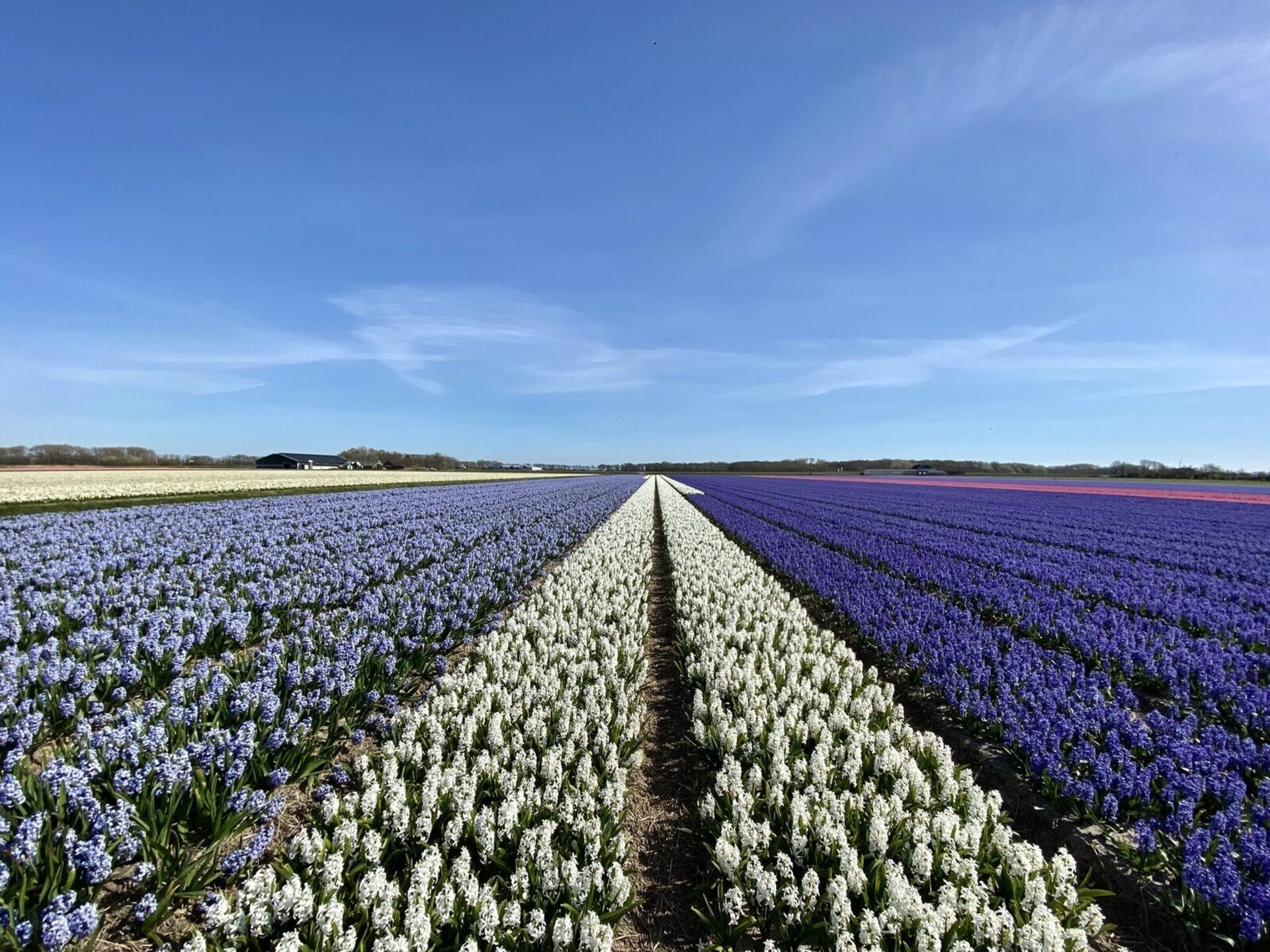 Suite Uitwaayer – Modern genieten in het hart van Noord-Holland - foto 16