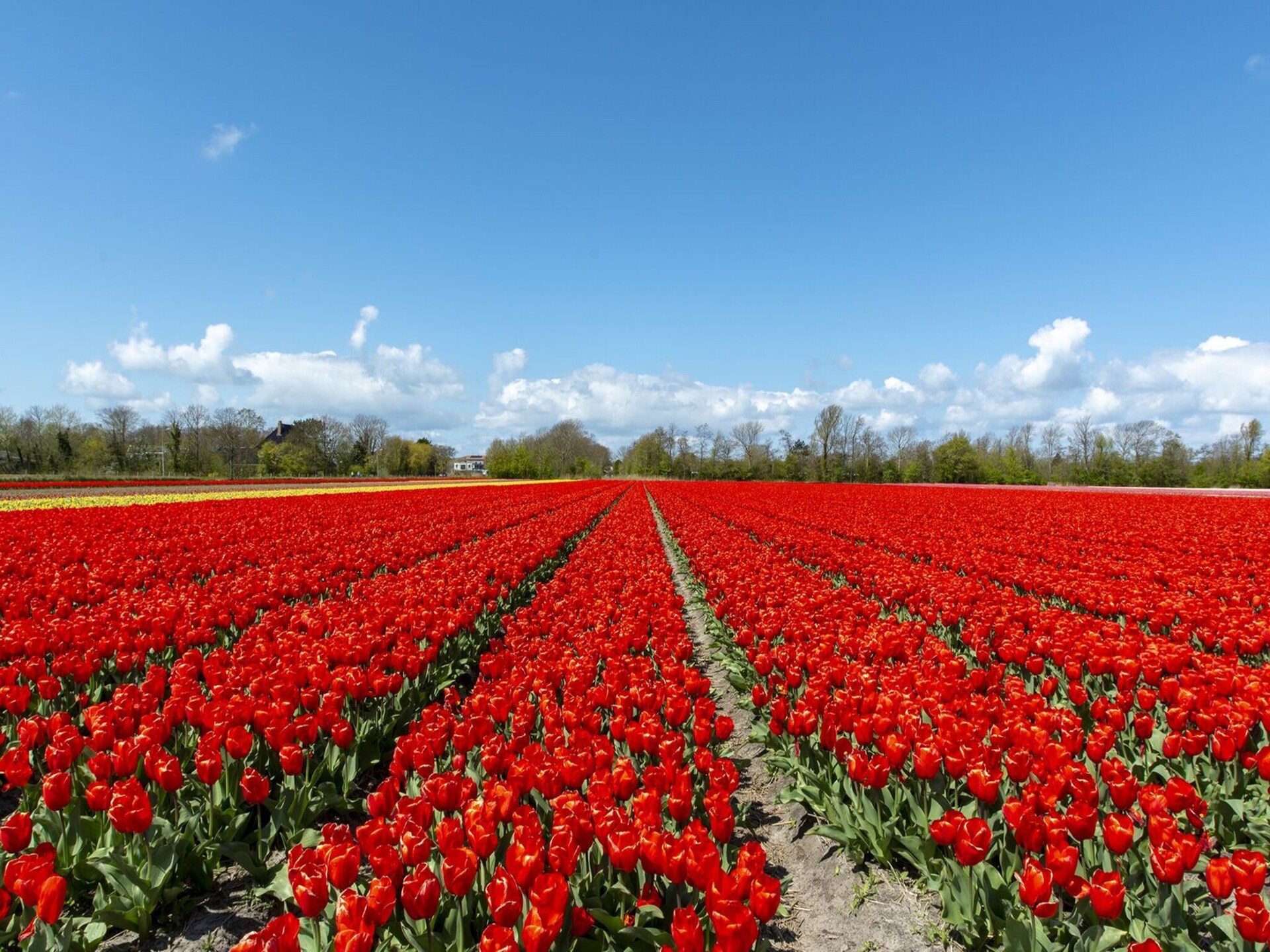 Suite Uitwaayer – Modern genieten in het hart van Noord-Holland - foto 17