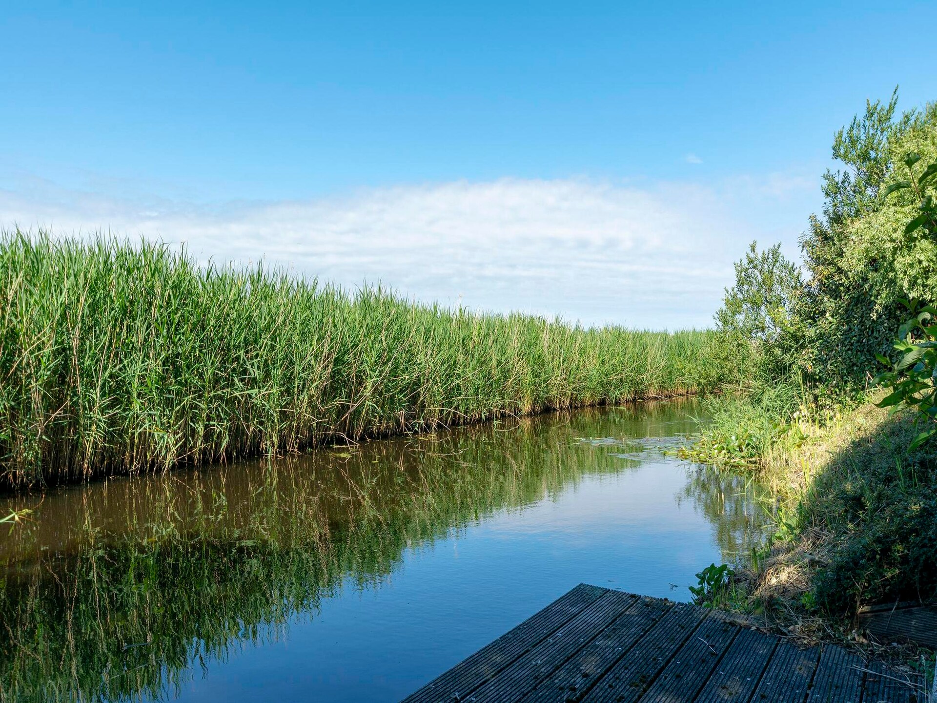 Moderne villa aan duinen en water in Callantsoog – 100m², 4 pers. - foto 34