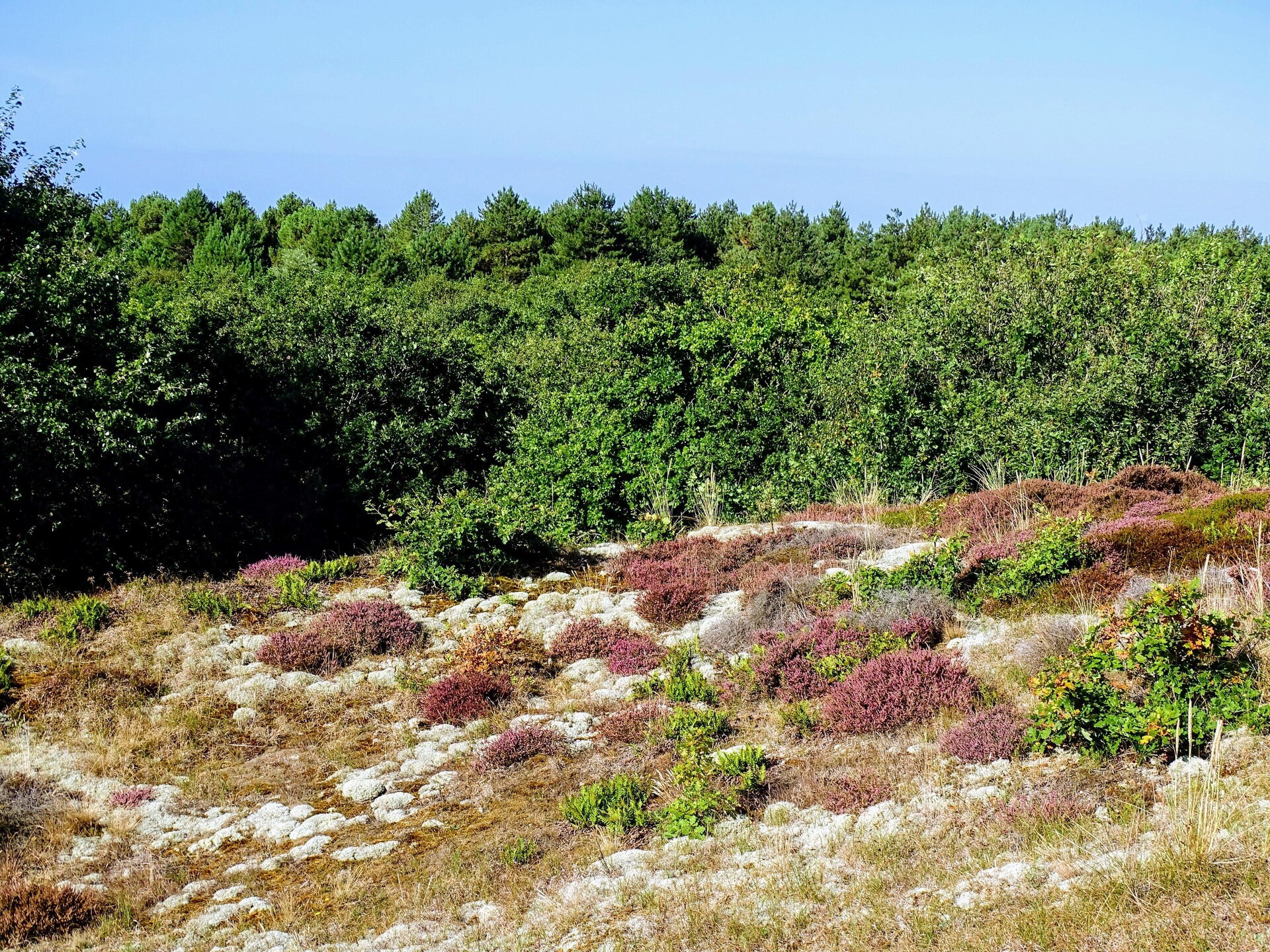 Tipitent de Jutter: Avontuurlijk kamperen met comfort in Callantsoog - foto 6