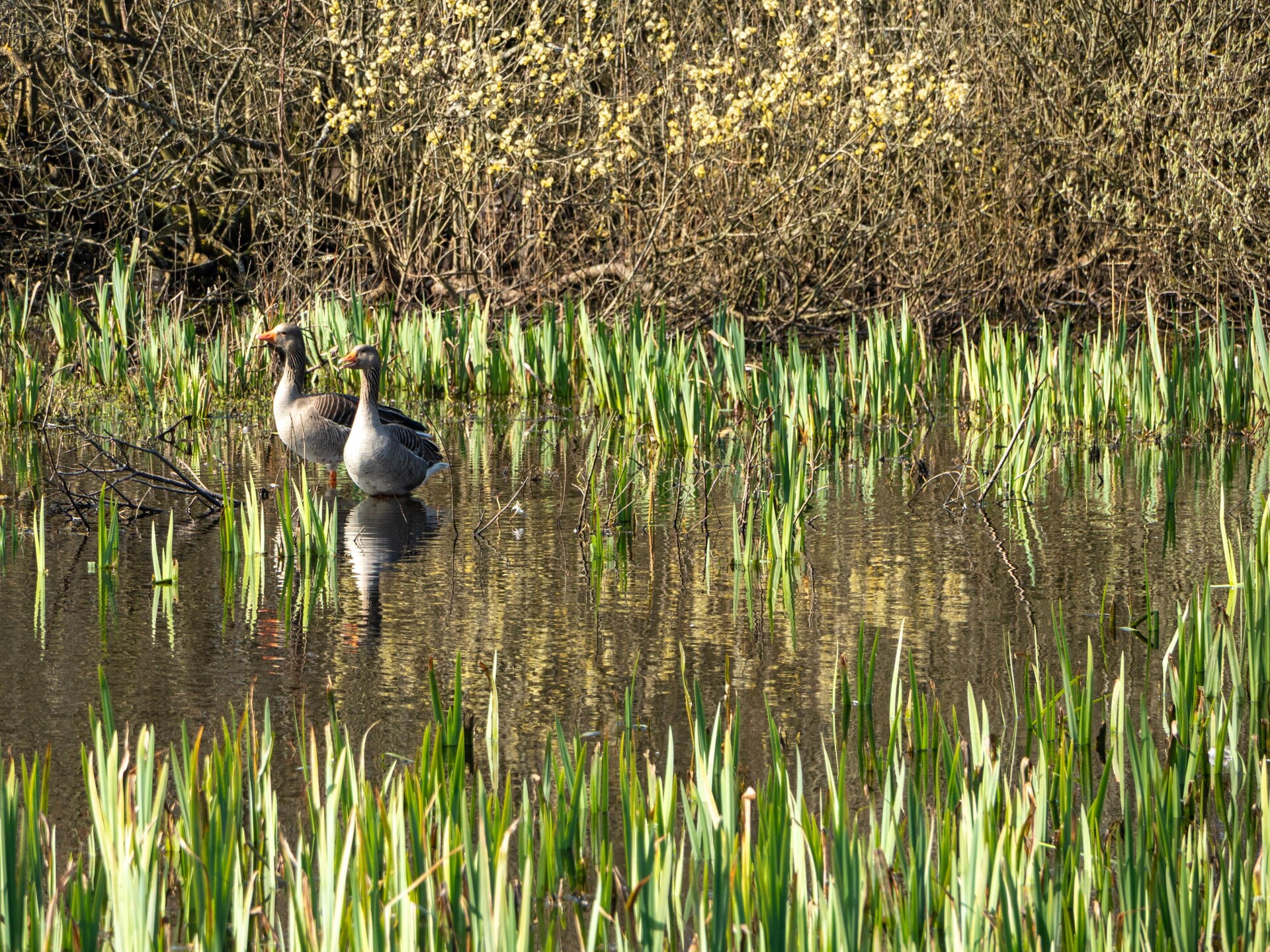 Tipitent de Jutter: Avontuurlijk kamperen met comfort in Callantsoog - foto 7