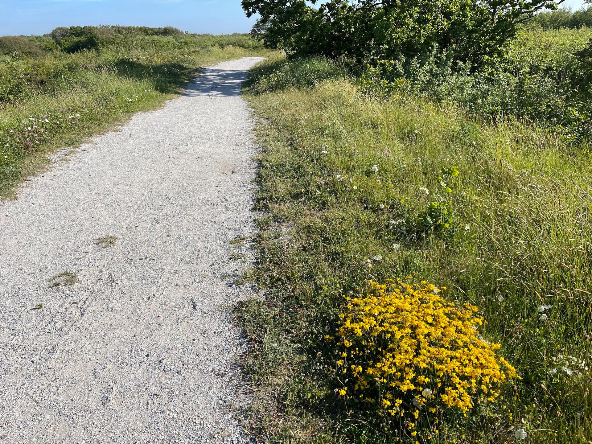 Tipitent de Jutter: Avontuurlijk kamperen met comfort in Callantsoog - foto 12