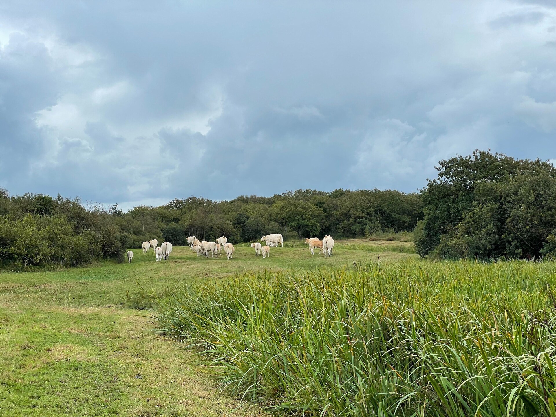 Tipitent de Jutter: Avontuurlijk kamperen met comfort in Callantsoog - foto 13