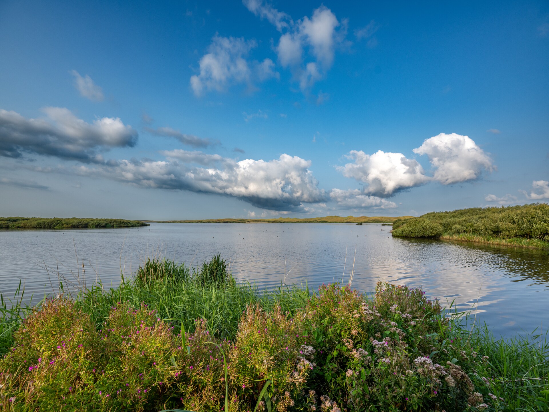 Tipitent de Jutter: Avontuurlijk kamperen met comfort in Callantsoog - foto 14