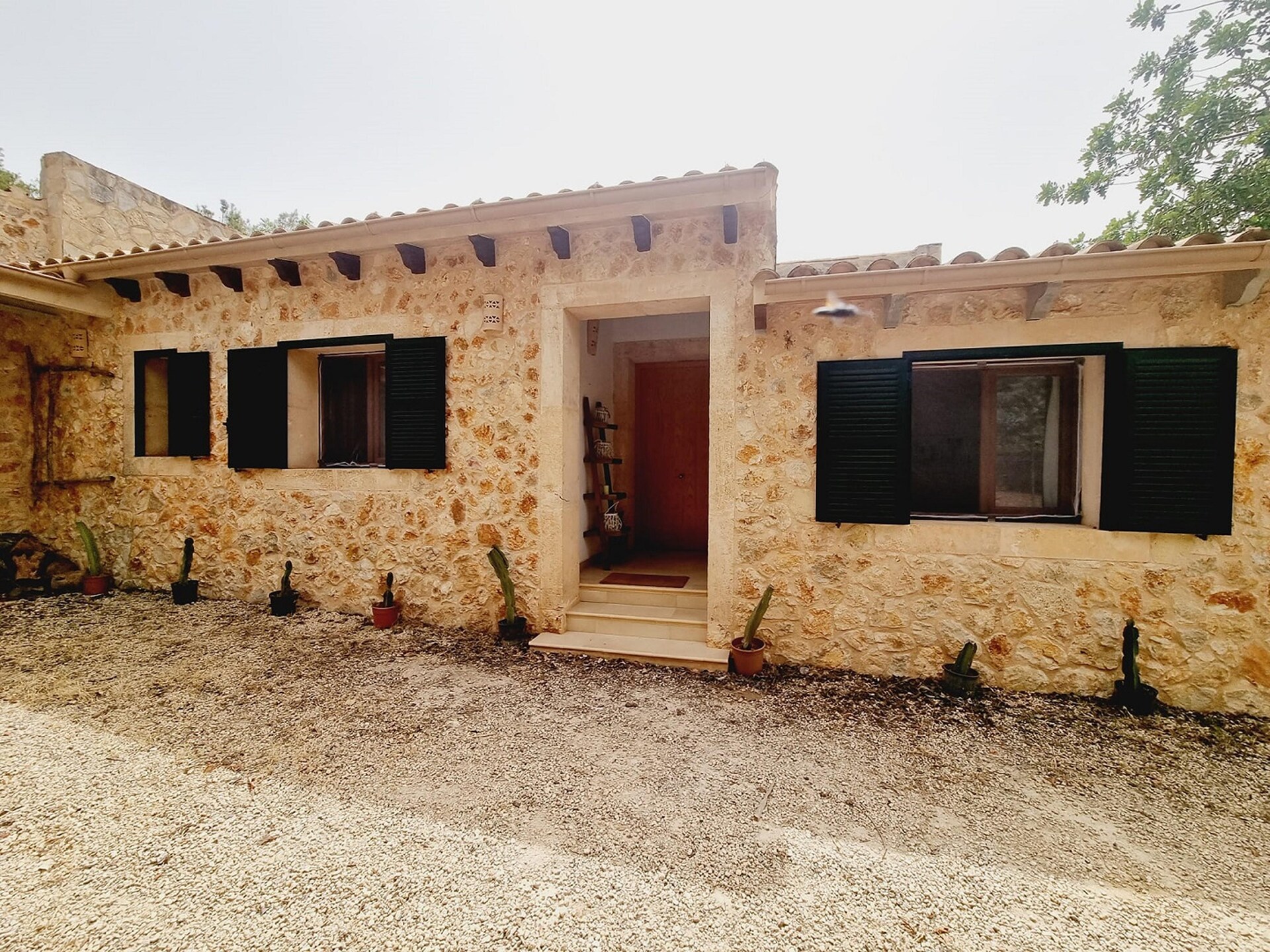 Villa Sa Palmera - Luxe familievilla met biologisch zwembad aan de golf - foto 29