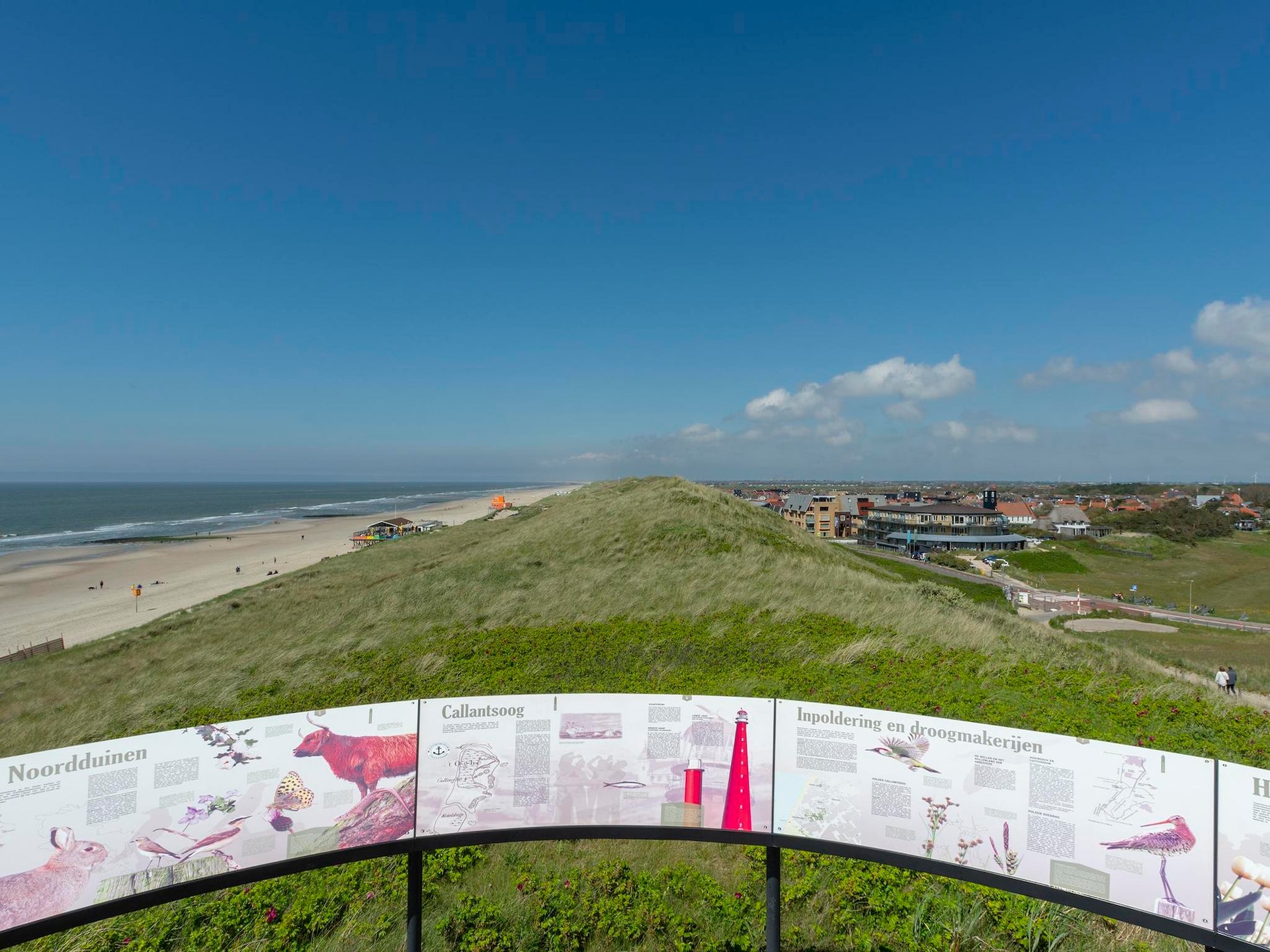 Energiezuinige vakantiebungalow met omheinde tuin in autovrij park Callantsoog - foto 31