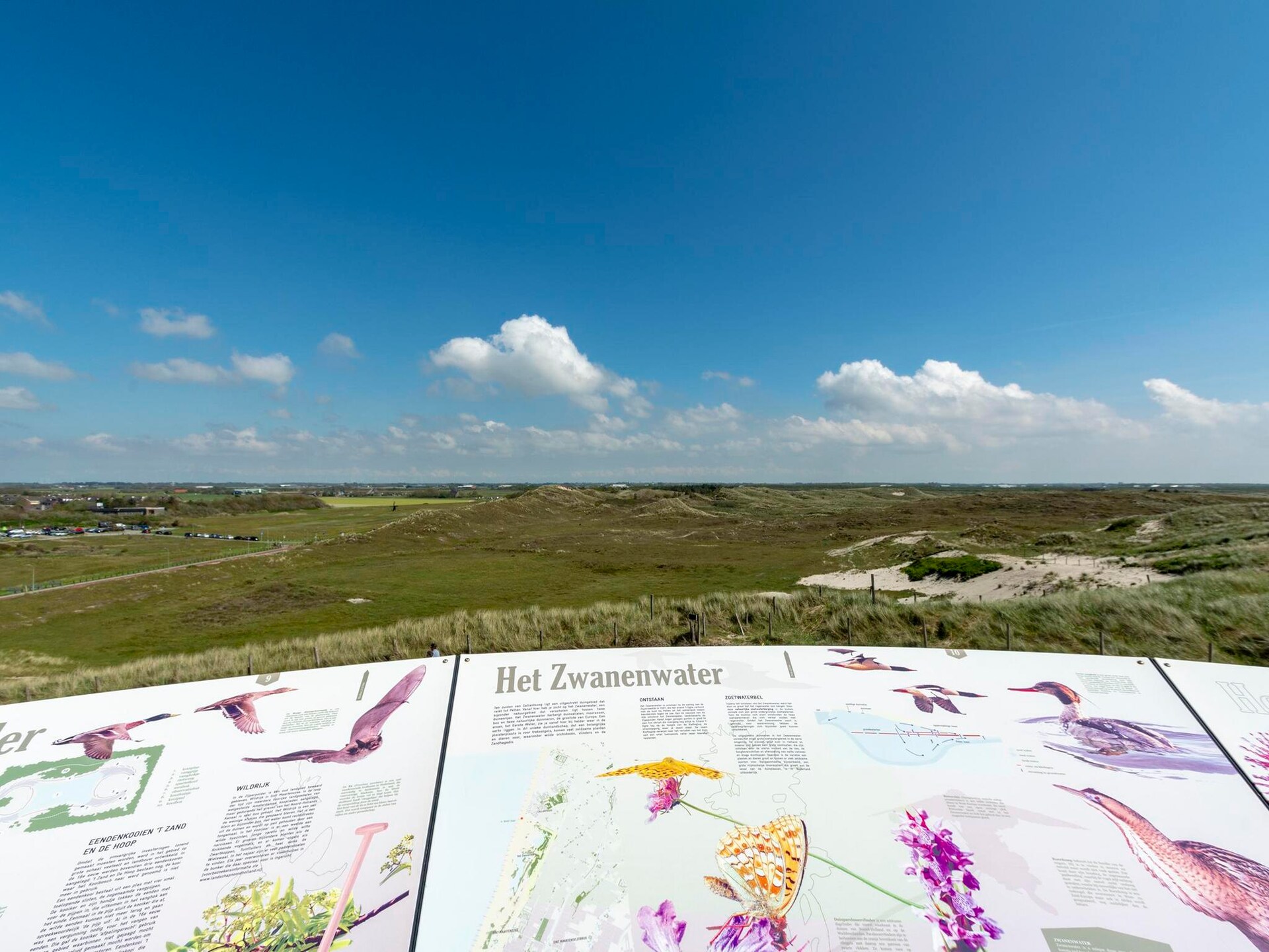 Wijde Blick 103: Gezellig appartement op 250m van strand in Callantsoog - foto 16