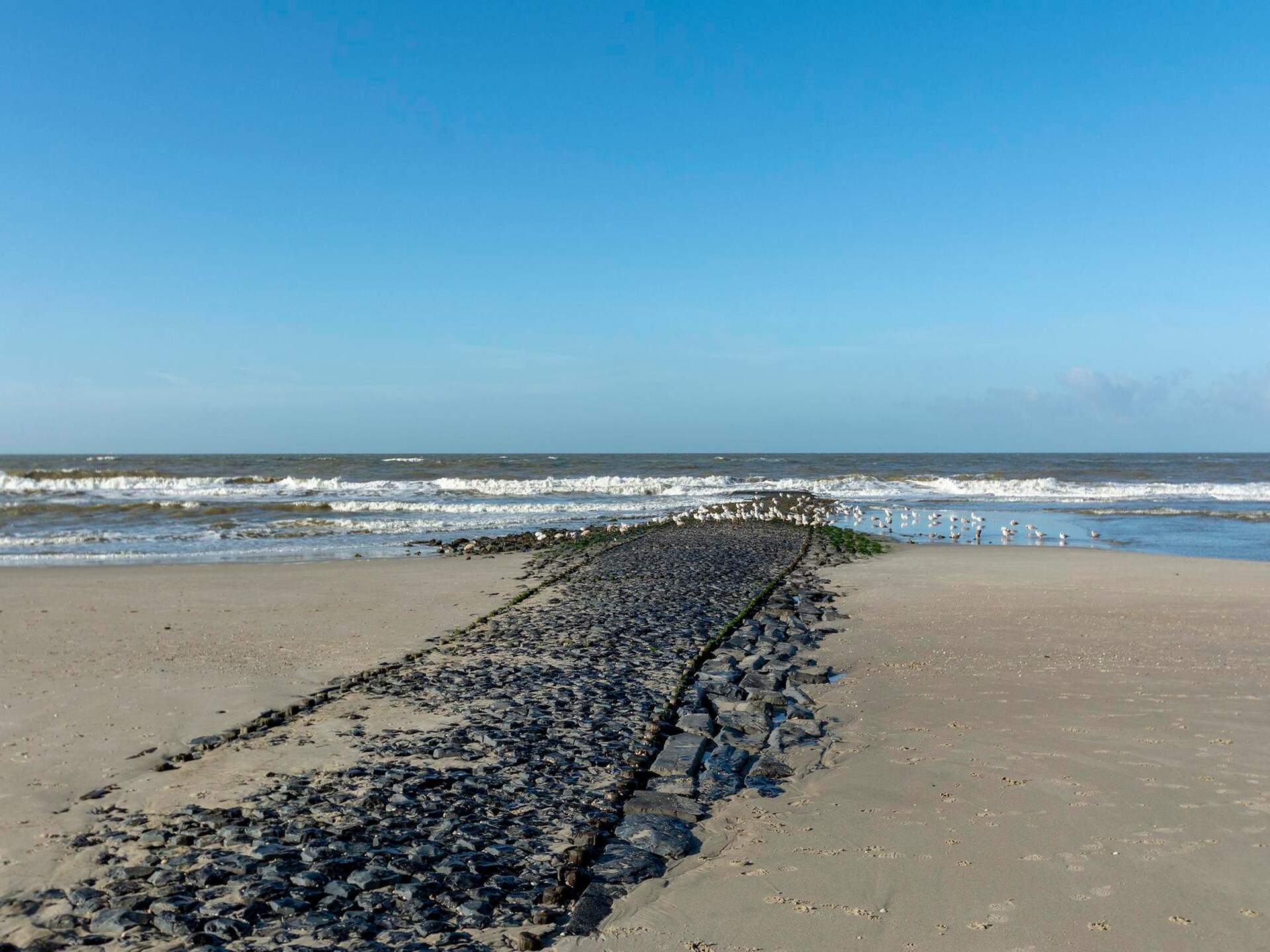 Wijde Blick 203: Geniet van zeezicht op 250 meter van het strand van Callantsoog - foto 10
