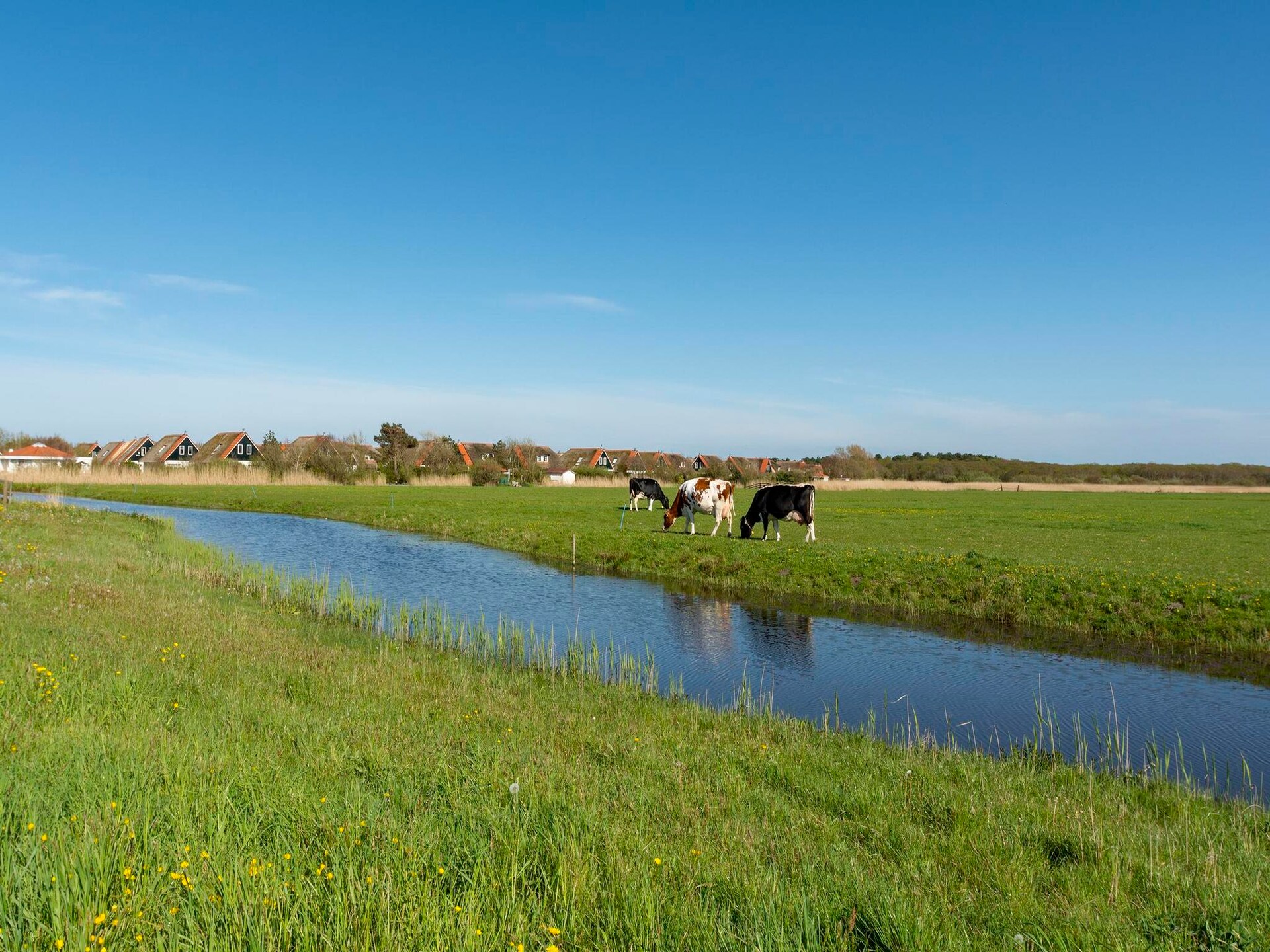 Luxe water villa in Callantsoog: ontspan aan zee met uw huisdier - foto 19