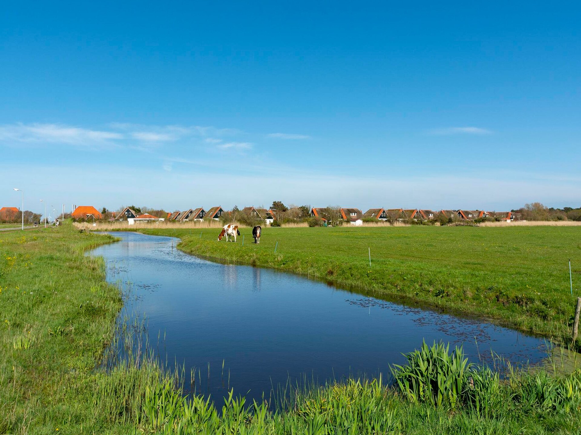 Luxe rietgedekte villa aan het water met duinuitzicht in Callantsoog - foto 31