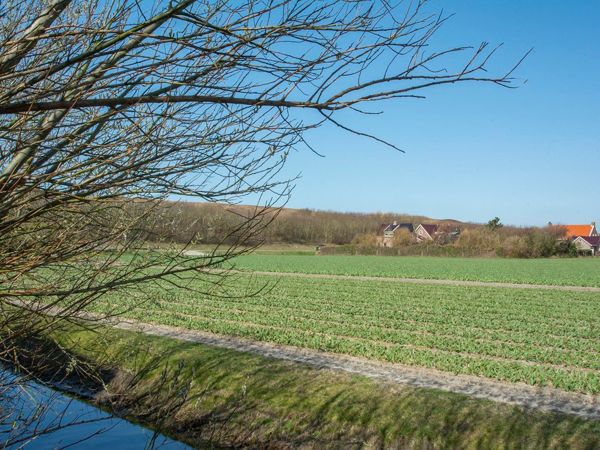 Résidence Juliana 53: Ruim appartement op 1 km van het strand - foto 21
